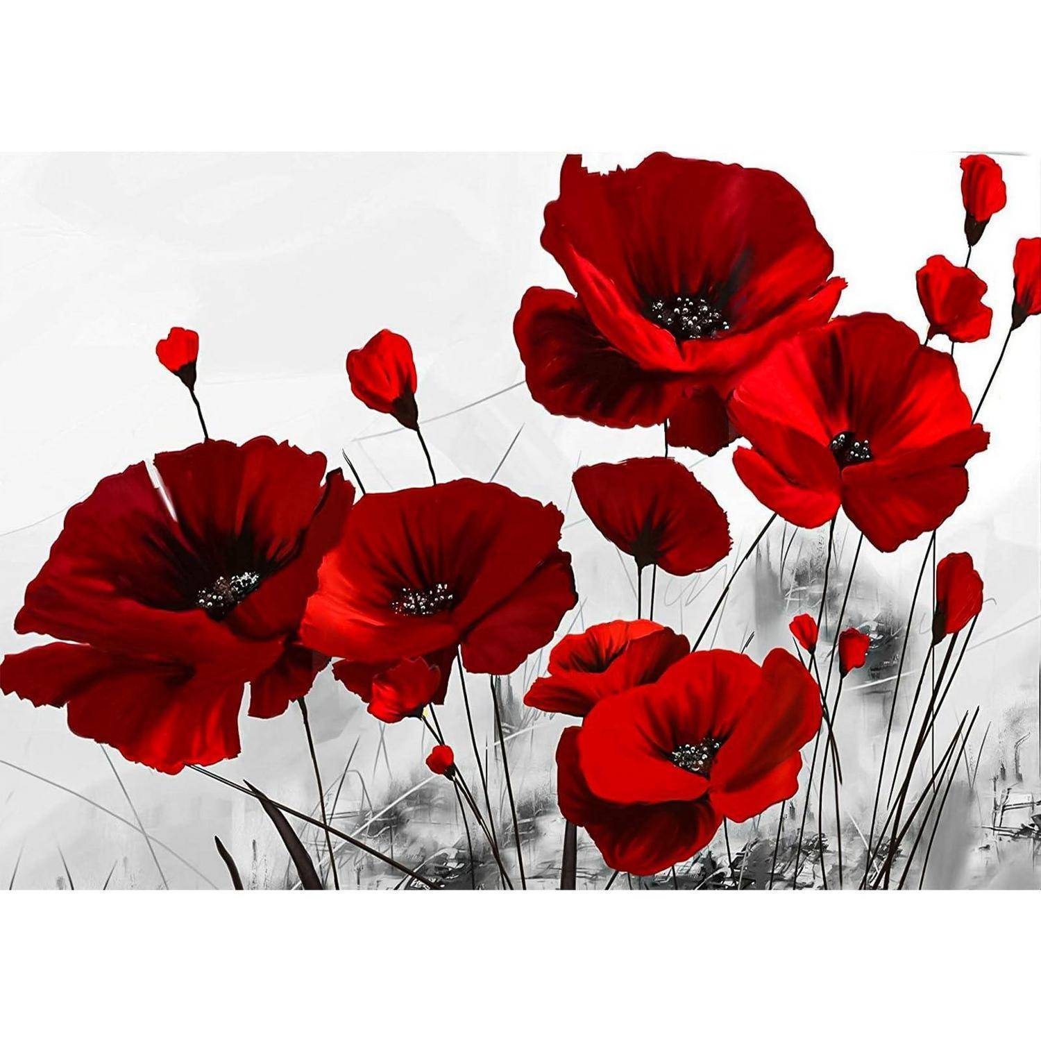Rote Mohnblumen mit schwarzen Zentren auf dünnen Stielen vor einem überwiegend grauen Hintergrund, was einen lebendigen Farbkontrast erzeugt.