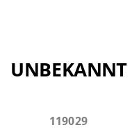 Das Wort 'UNBEKANNT' erscheint über der Nummer '119029' auf einem schlichten weißen Hintergrund.