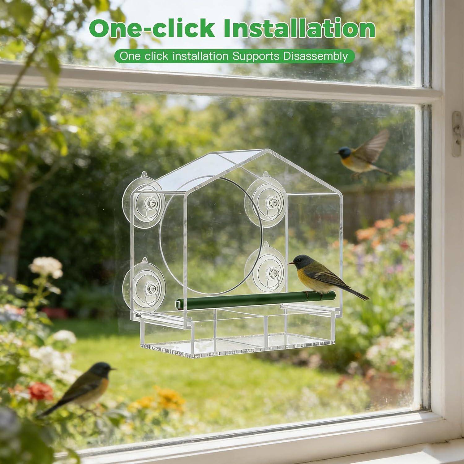 Transparentes Vogelfutterhäuschen mit Saugnapfbefestigung, gezeigt an einem Fenster mit Vögeln in der Nähe; der Text lautet „One-Click-Installation