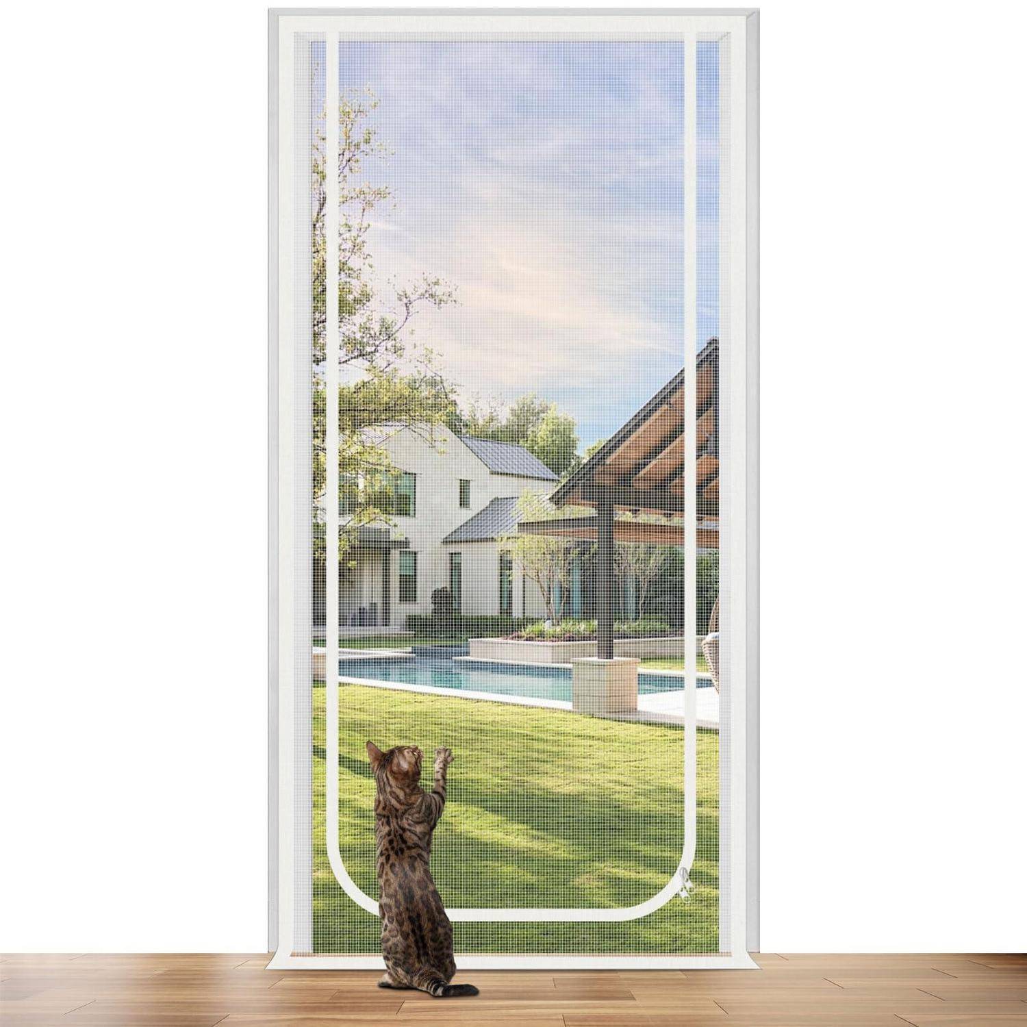 Katze schaut durch eine Fliegengittertür auf einen Hinterhof mit einem Pool, Haus, Bäumen und einer Terrassenüberdachung.