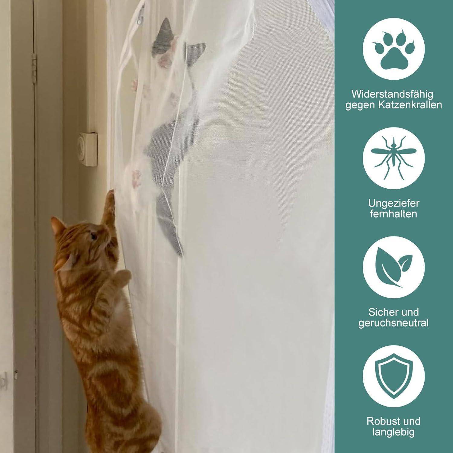 Orangefarbene Katze, die einen dünnen Schutzvorhang oder eine Maschenbarriere in einer Türöffnung berührt; Seitensymbole zeigen, dass er kratzfest ist, Schädlinge abwehrt und sicher, geruchlos und langlebig ist.