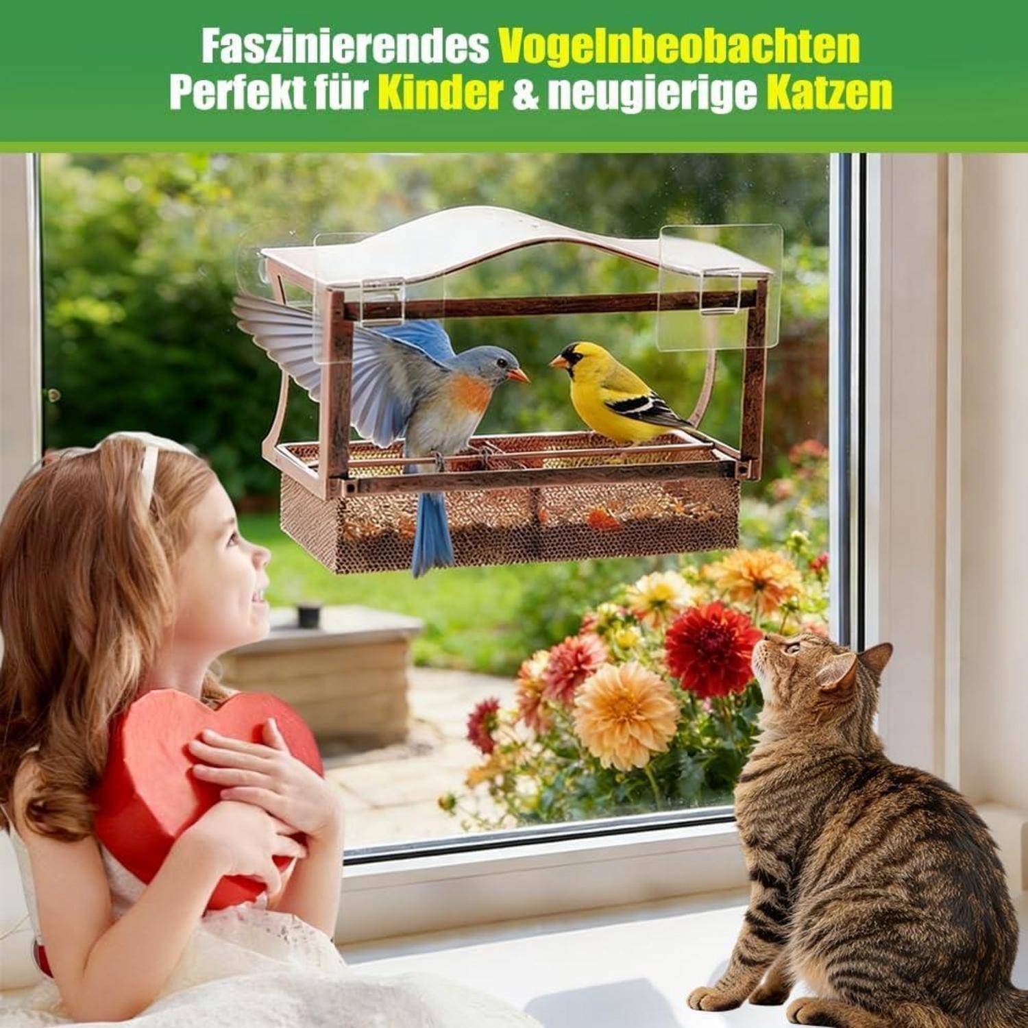 Mädchen beobachtet zwei Vögel an einem Fensterrahmen-Futterautomaten, während eine Katze zuschaut; der Anzeigentext sagt „Faszinierendes Vogelbeobachten
