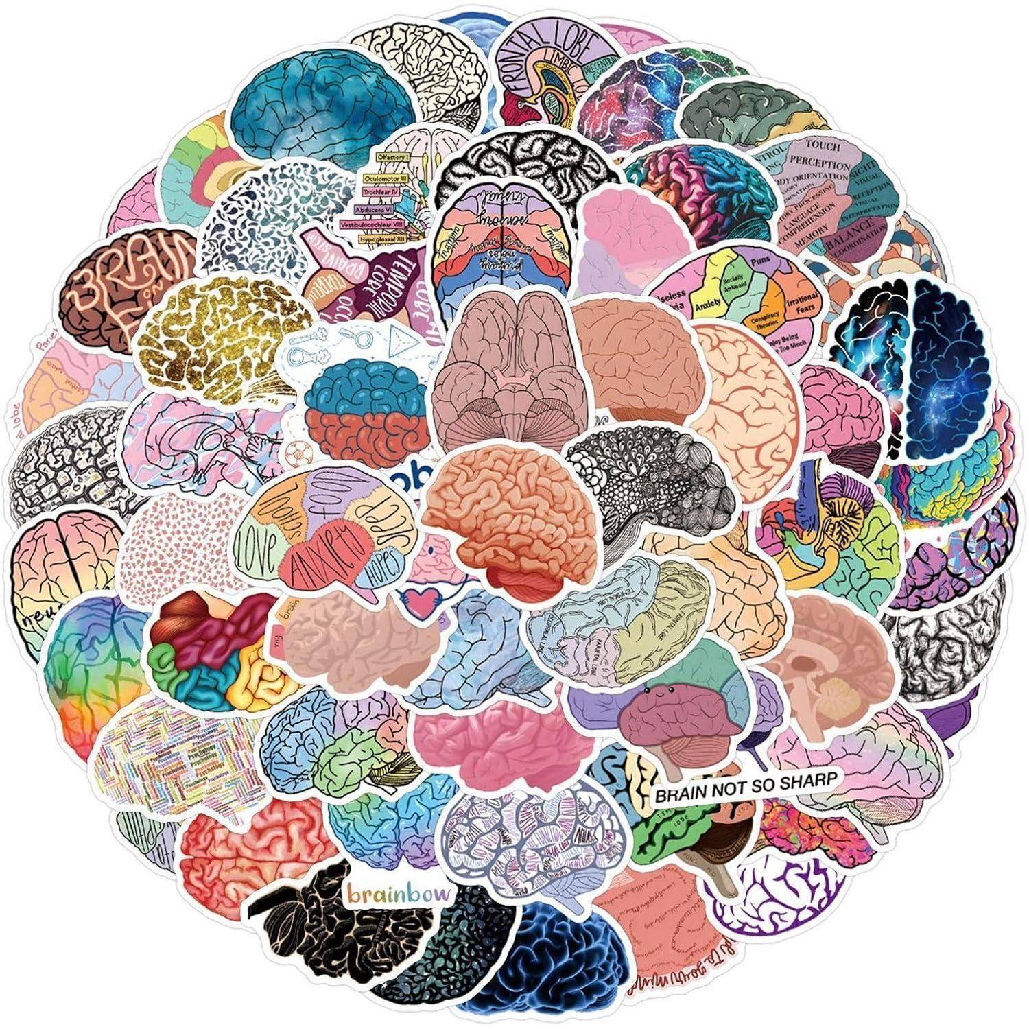 Collage aus farbenfrohen illustrierten Gehirnen mit verschiedenen Mustern und Beschriftungen, die eine gebündelte Gehirnkarte bilden, mit Phrasen wie „BRAIN NOT SO SHARP