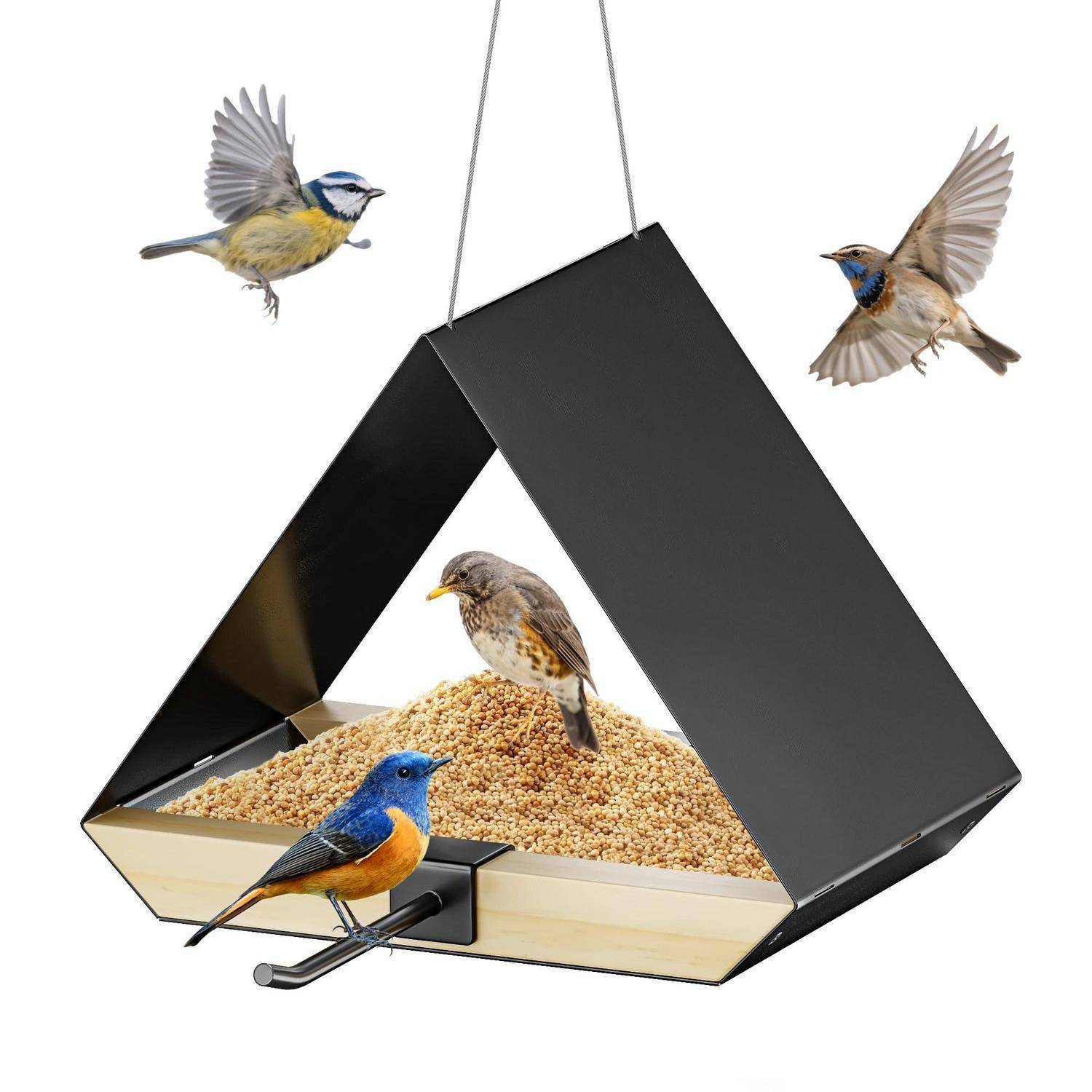 Drei Vögel versammeln sich um einen hängenden Metallvogelfutterautomaten, der mit Samen gefüllt ist, während ein Vogel auf dem Futtertablett sitzt.