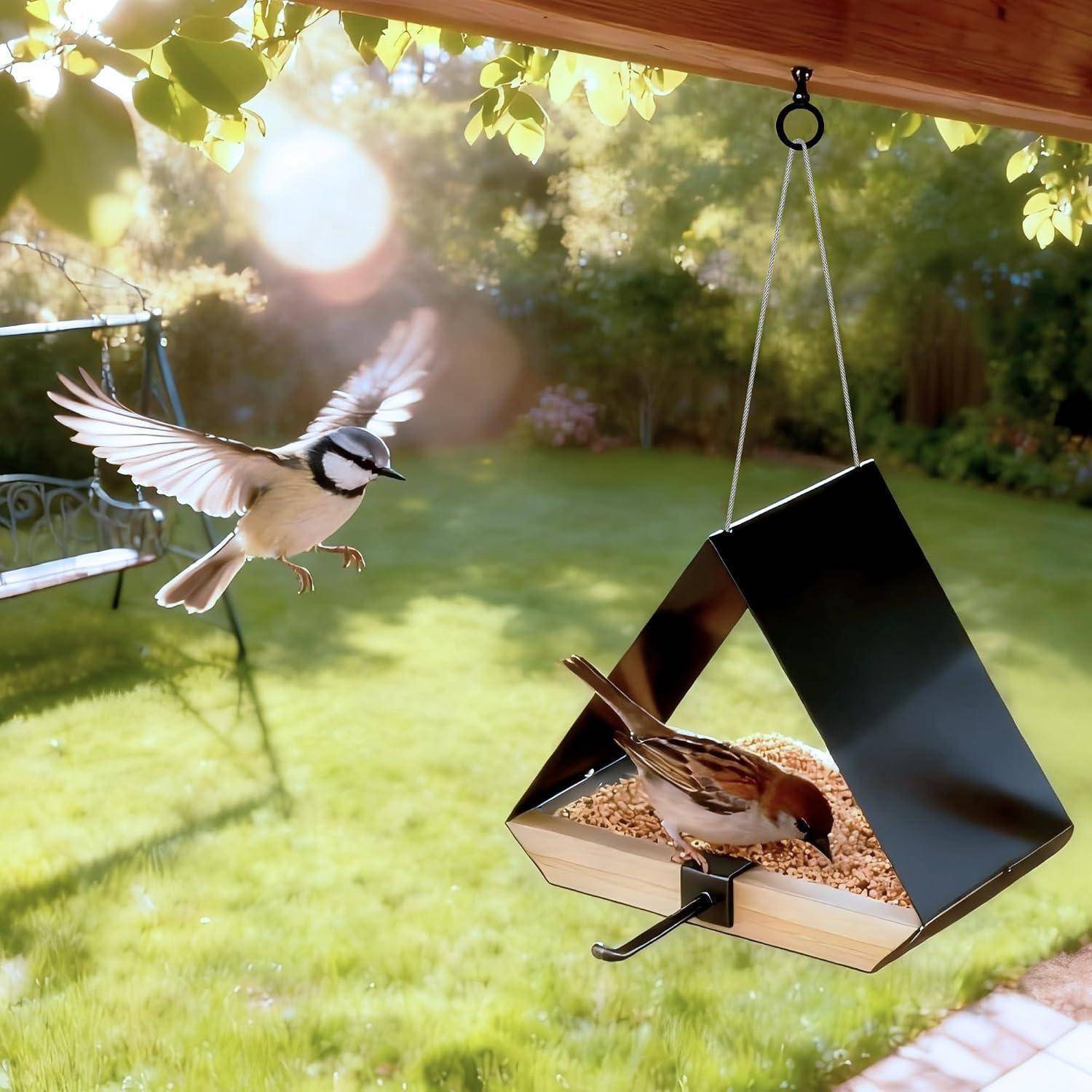 Zwei kleine Vögel an einem hängenden Gartenfutterhaus, einer fliegt herein und einer frisst Samen in einem sonnigen Garten.