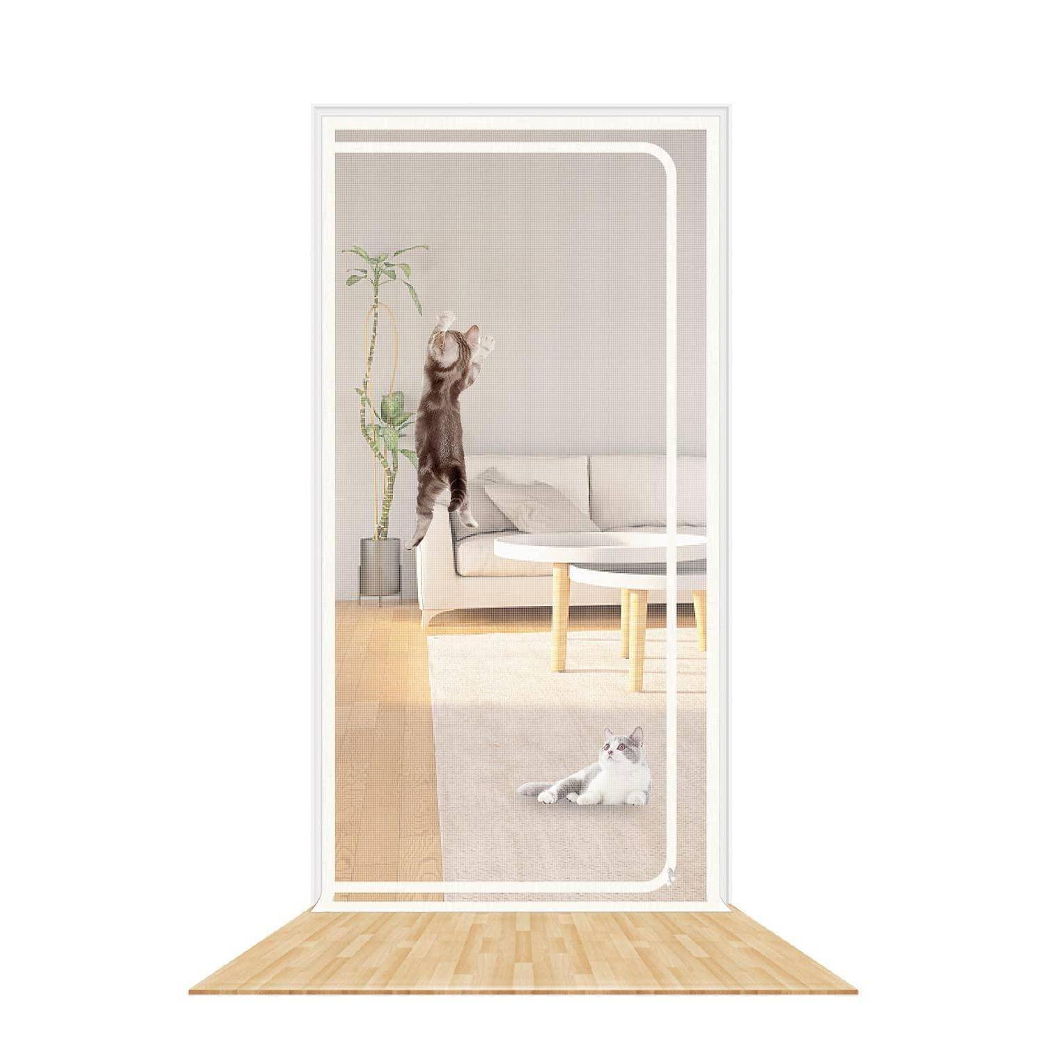 Zwei Katzen in einem Wohnzimmer; eine steht auf den Hinterbeinen neben einer Wand, eine andere liegt auf einem Teppich neben einem Sofa und einem Tisch.