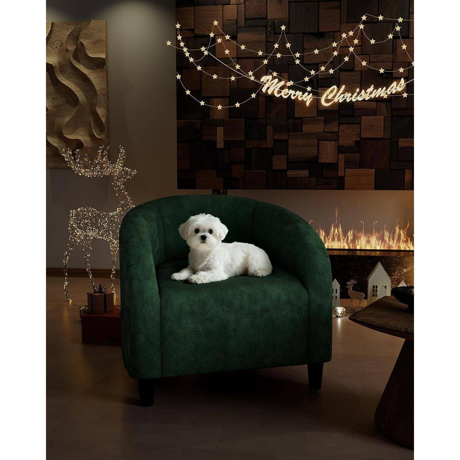 Kleiner weißer Hund, der auf einem dunkelgrünen Sessel in einem gemütlich weihnachtlich dekorierten Zimmer mit einem brennenden Kamin und einem 