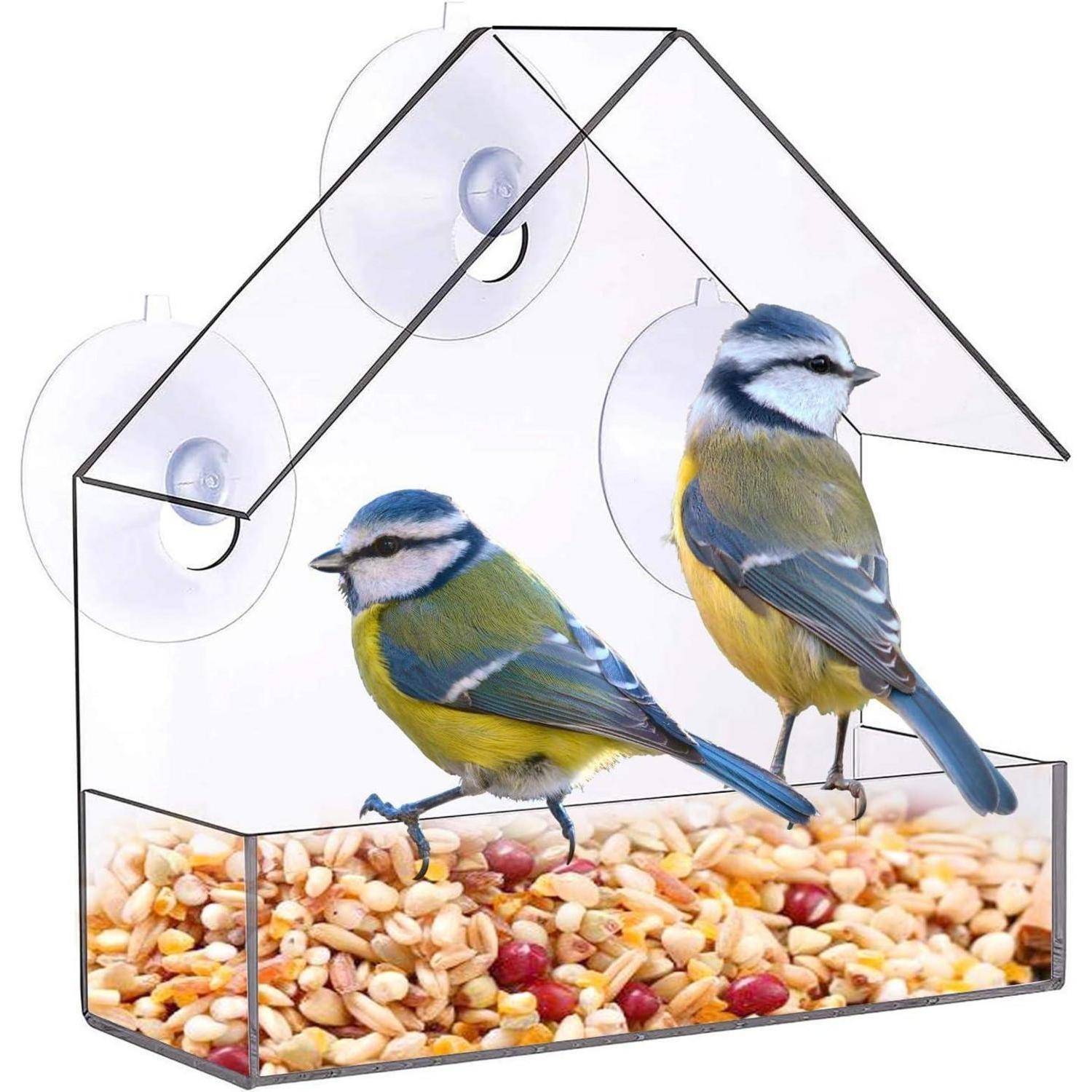 Zwei kleine Vögel saßen auf einem durchsichtigen Kunststoff-Vogelfutterhaus, das mit gemischten Samen gefüllt war, hausförmig gestaltet und mit Saugnapfhalterungen befestigt.