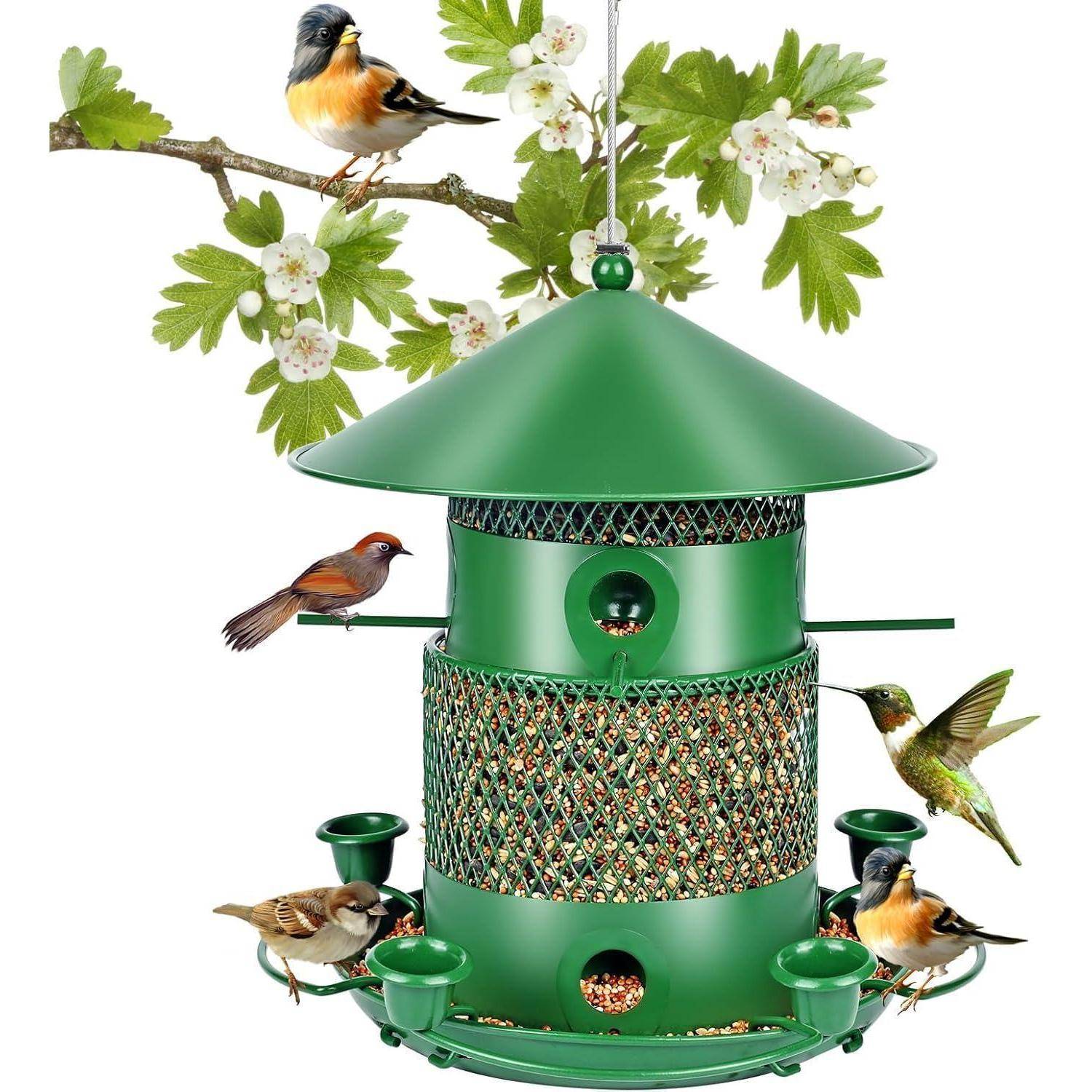 Grüner Vogelfutterplatz mit mehreren Anschlüssen, mit Kolibris und kleinen Singvögeln, die darum herum fressen, vor weißem Hintergrund mit einem blühenden Ast darüber.