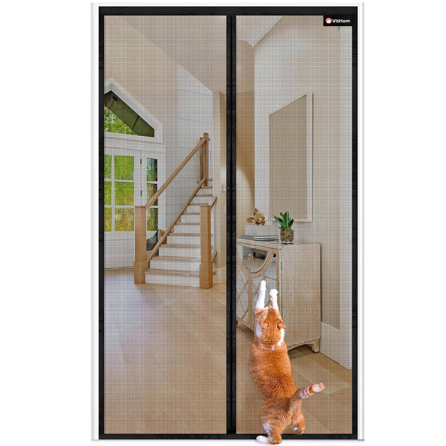 Orange-Katze, die auf den Hinterbeinen vor einer Schiebescreentür steht und nach dem Griff greift, in einem modernen Hauseingang mit sichtbaren Treppen innen.