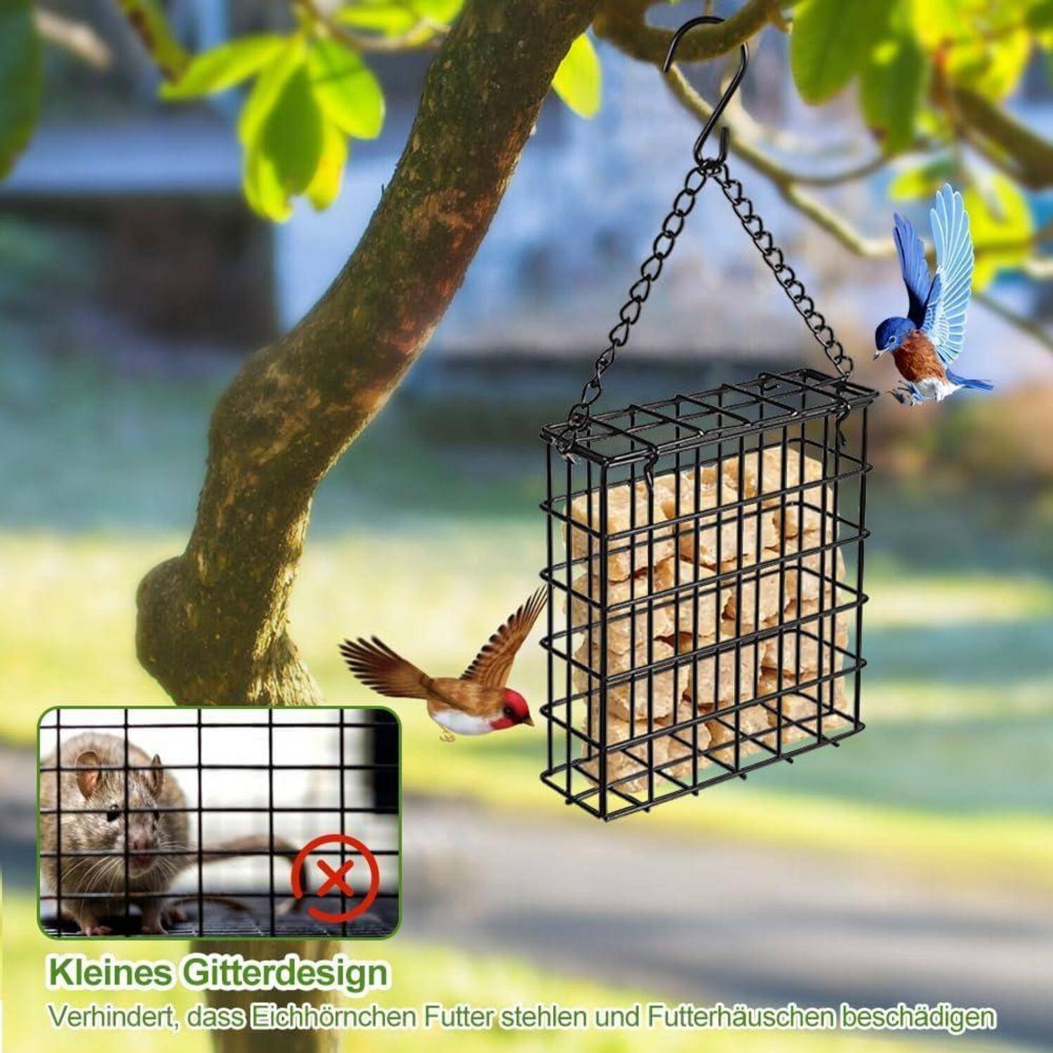 Vogelfutter in einem hängenden Drahtkäfig schützt das Futter vor Eichhörnchen, gezeigt mit zwei kleinen Vögeln in der Nähe; Einsatz hebt das „kleine Gitterdesign