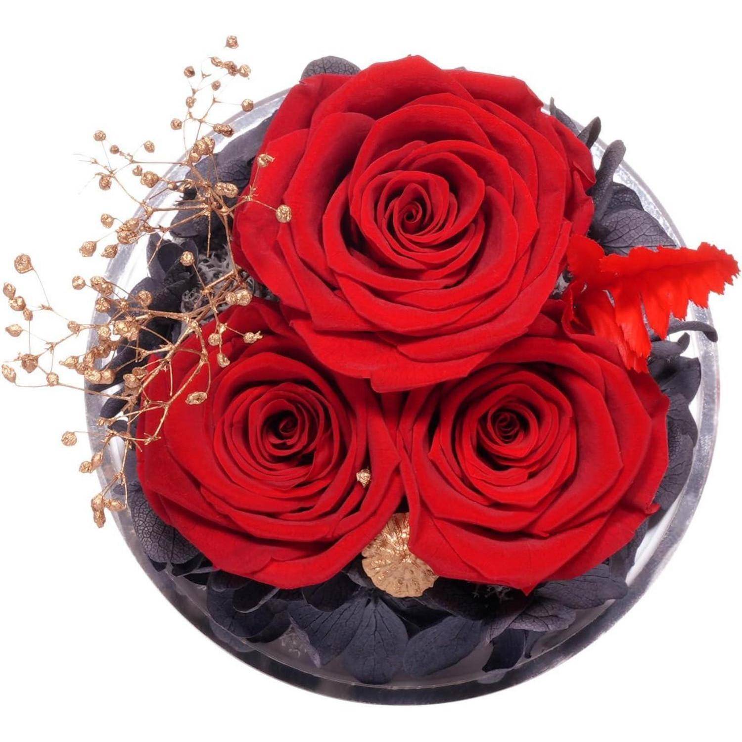Drei rote Rosen in einem runden Strauß mit dunklen Blättern und kleinen goldenen Zweigen auf weißem Hintergrund.