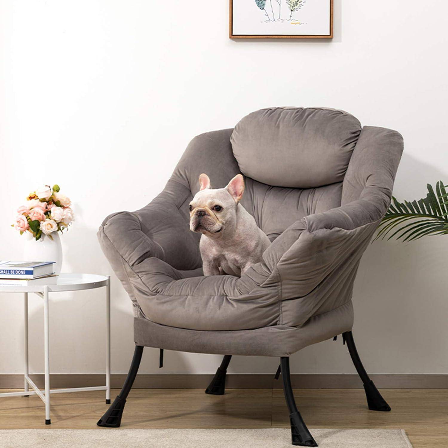 Kleine französische Bulldogge, die auf einem grau gepolsterten Sessel in einem hellen Wohnzimmer sitzt, neben einem Beistelltisch mit Blumen und Büchern.