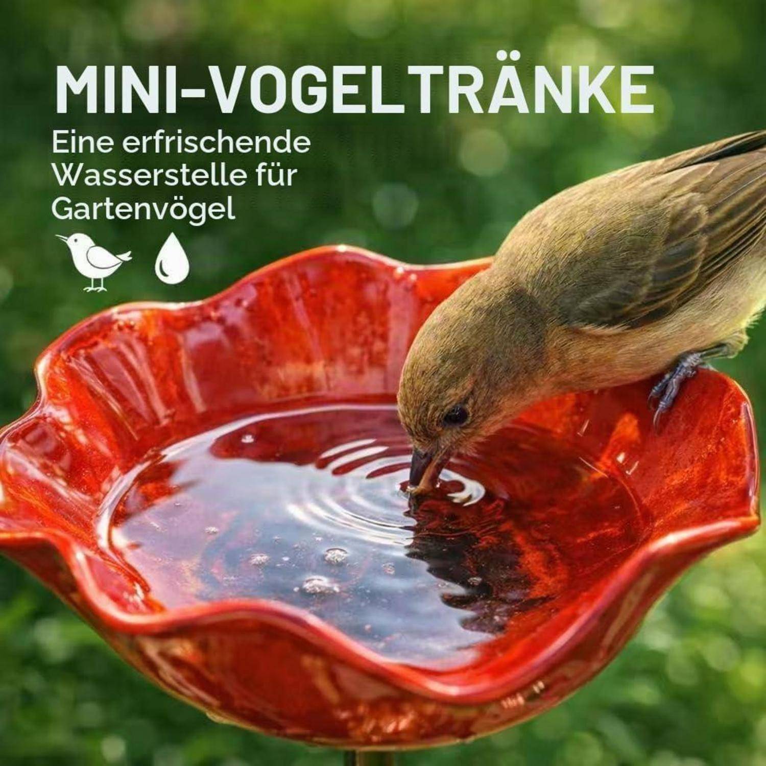 Vogel trinkt aus einer roten blütenförmigen Mini-Vogeltränke; der Text lautet „MINI-VOGELTRÄNKE