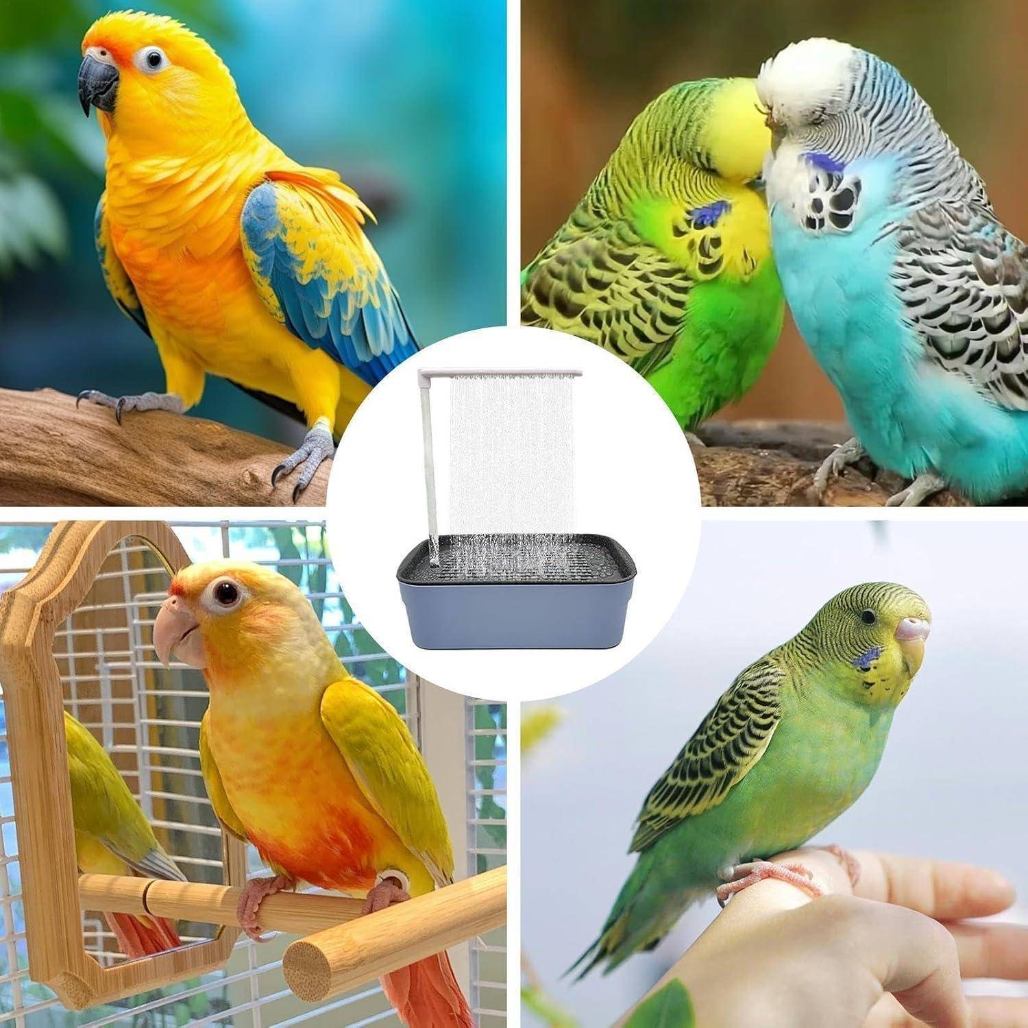 Collage von Heimvögeln: Papageien und Wellensittiche auf Sitzstangen, mit einem zentralen hängenden Vogelbad/Badewanne.