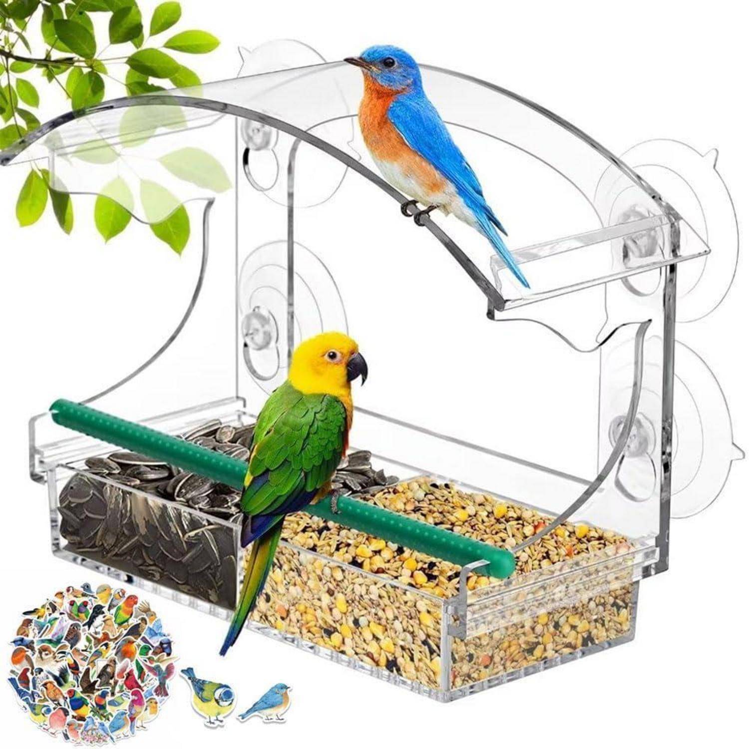 Transparenter Acryl-Vogelfutterhaus mit Sitzstangen und Samenschalen, dargestellt mit zwei farbenfrohen Papageien beim Fressen und kleinen Vogelillustrationen darunter.