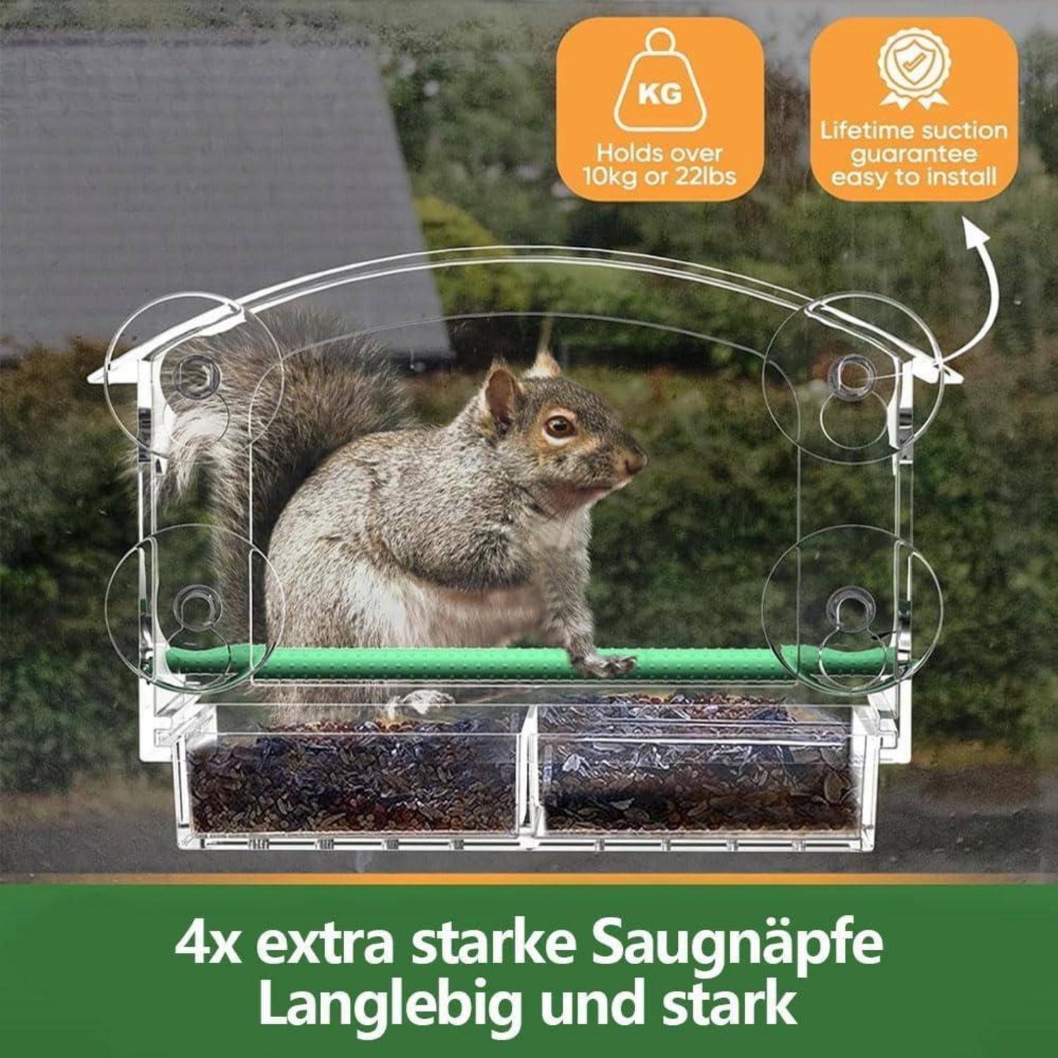 Transparenter Eichhörnchen-Futterautomat mit vier Saugnäpfen, zeigt ein Eichhörnchen im Inneren; der Text besagt, dass er über 10 kg fasst und eine lebenslange Saugnapf-Garantie hat.