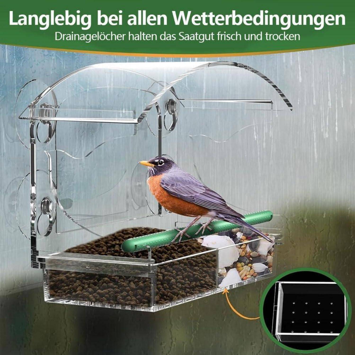 Vogel an einem klaren, fenstermontierten Futterhaus mit Samen und Wasser, das Drainagelöcher zeigt; deutscher Text besagt „Langlebig bei jedem Wetter" und „Drainagelöcher halten die Samen frisch und trocken"".