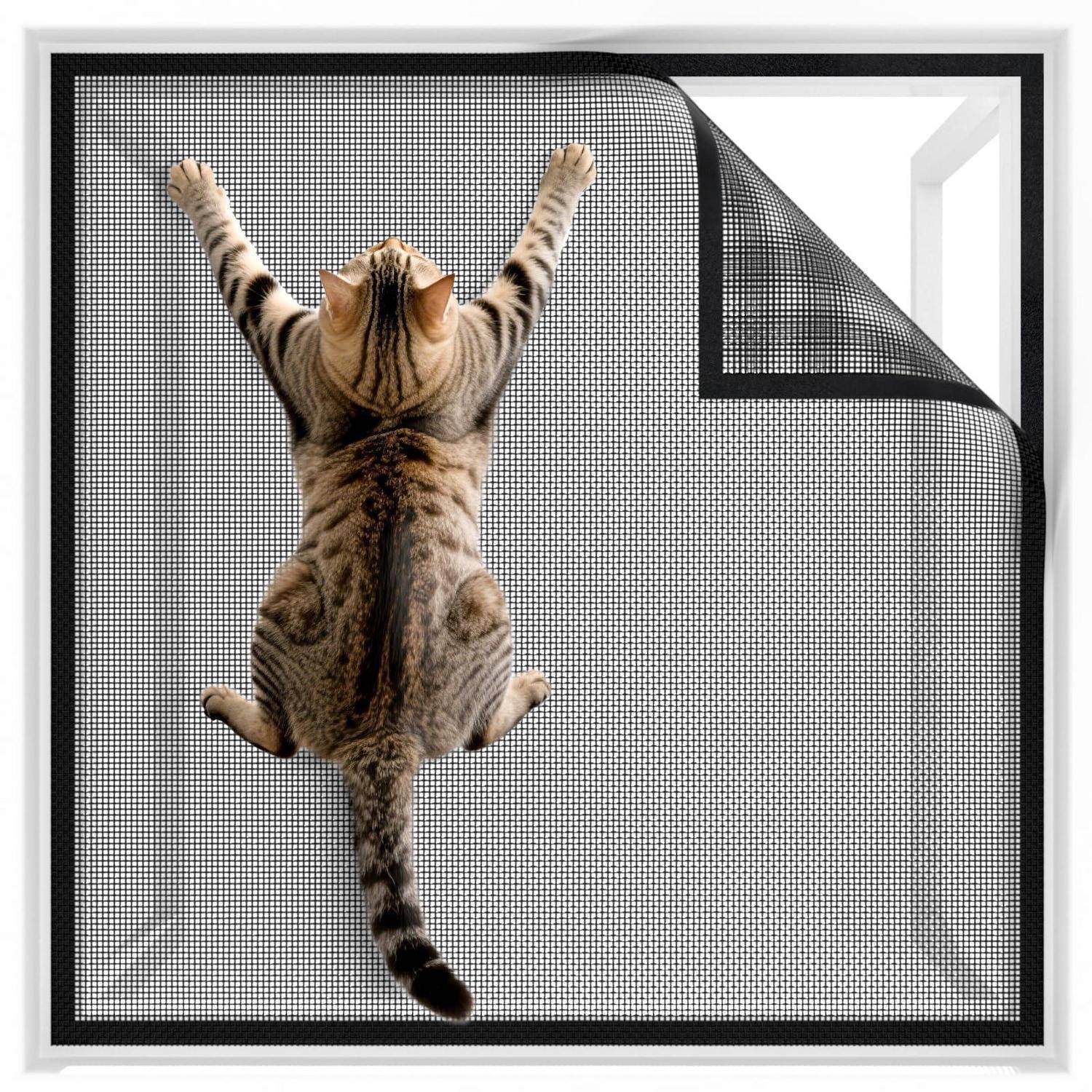 Katze, die an einer strukturierten Fliegengittertür hochklettert, Pfoten gegen das Maschengeflecht erhoben, mit der oben rechts eingeklappten Ecke.