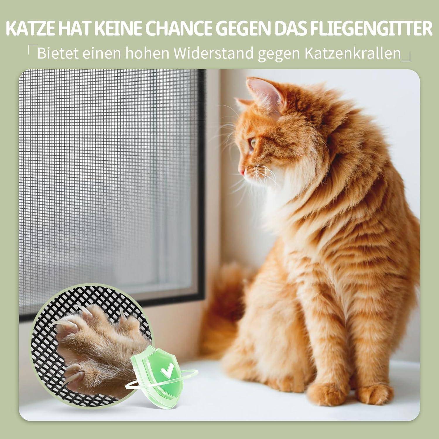Orangefarbene Katze sitzt neben einem Fenster mit verstärktem Fliegengitter; deutscher Text besagt „Katzen haben keine Chance gegen das Fliegengitter