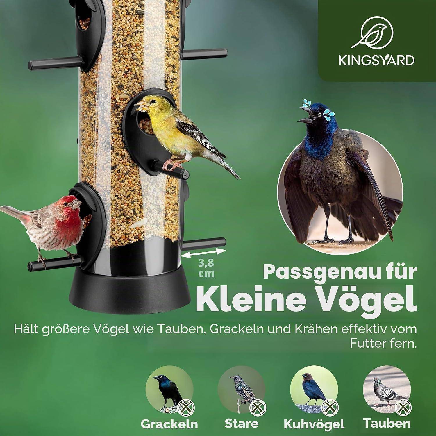 Vogelfutterhaus mit kleinen Sitzstangen und Samenkammer, gezeigt mit kleinen Vögeln beim Fressen und größeren Vögeln ausgeschlossen; deutscher Text sagt, dass es 'genau richtig für kleine Vögel' ist.