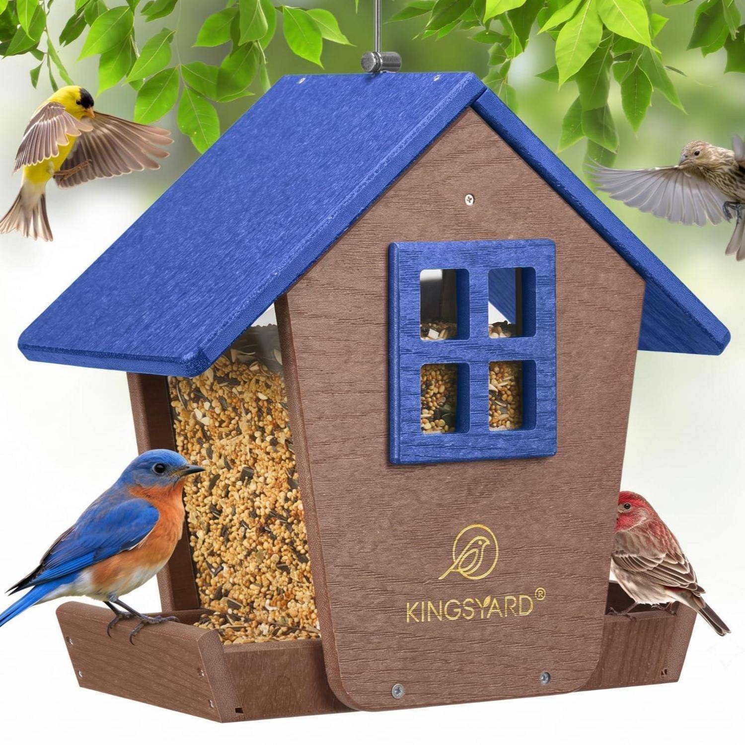 Holzfutterhäuschen mit blauem Dach, gefüllt mit Vogelfutter, während bunte Vögel darauf landen und darum herum fliegen.