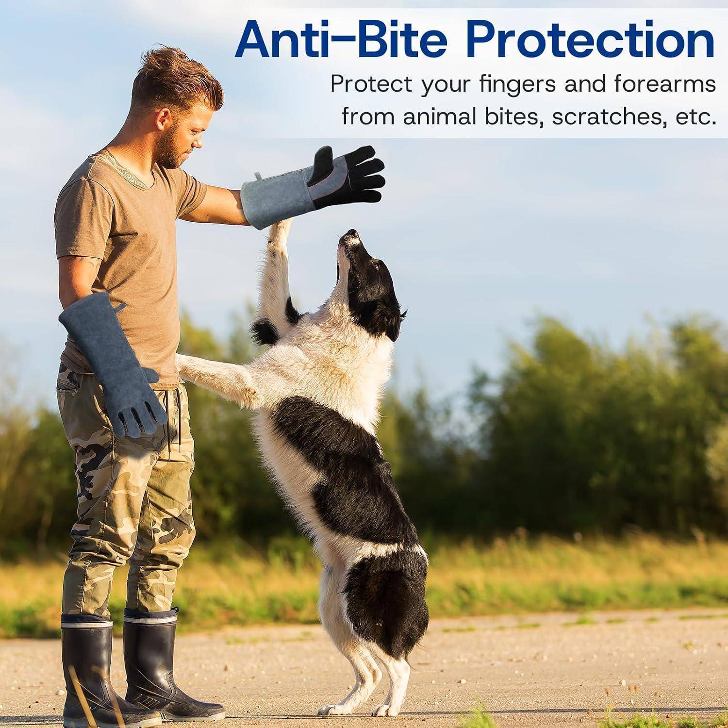 Mann mit Anti-Biss-Handschuhen und Ärmeln spielt mit einem aufbäumenden Hund; der Text lautet „Anti-Biss-Schutz