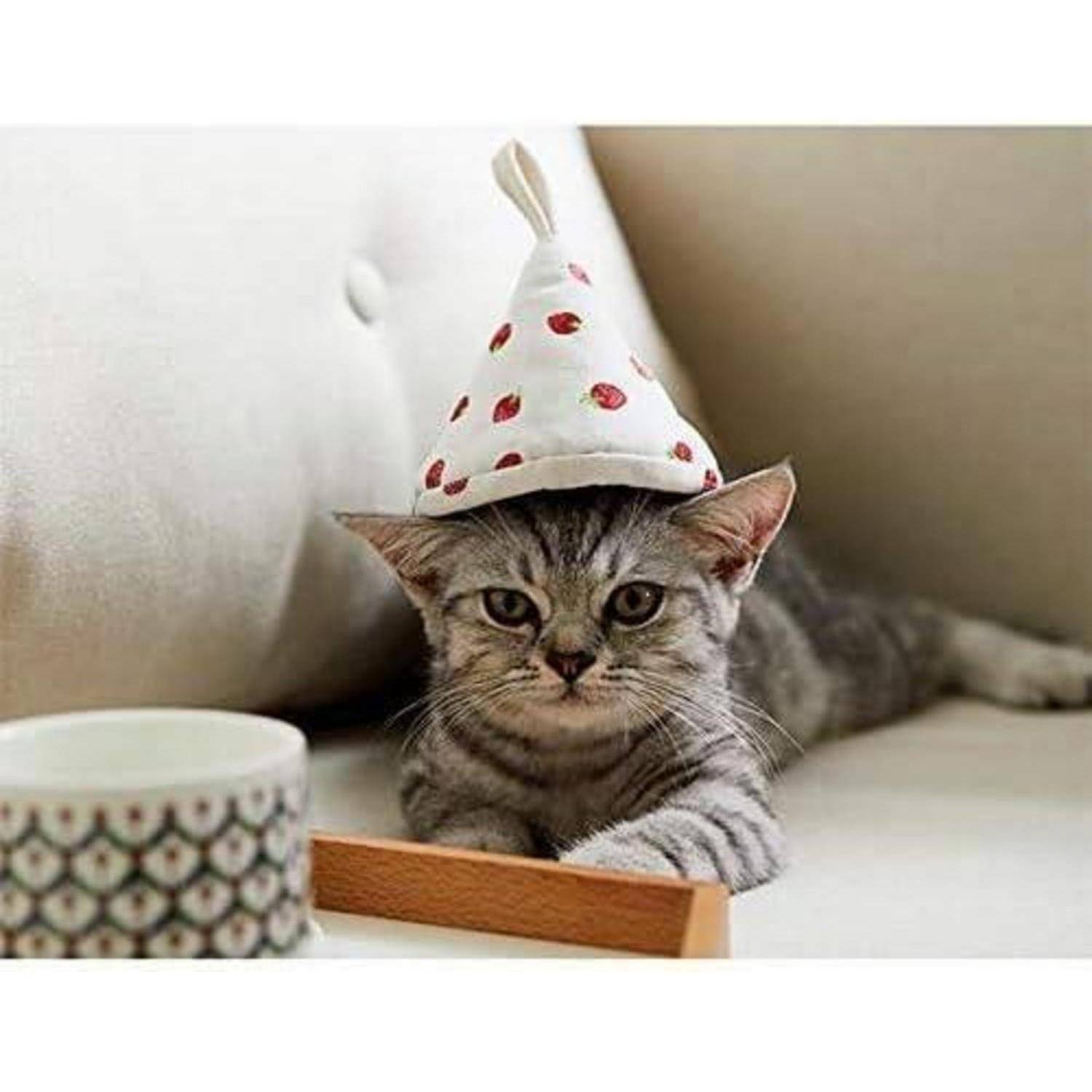 Ein grauer Tabby-Kätzchen mit einem weißen Partyhut mit roten Punkten liegt auf einem Sofa neben einer gemusterten Tasse.