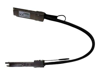 Schwarzes flexibles Kabel mit Metallsteckern an beiden Enden, vor weißem Hintergrund abgebildet.