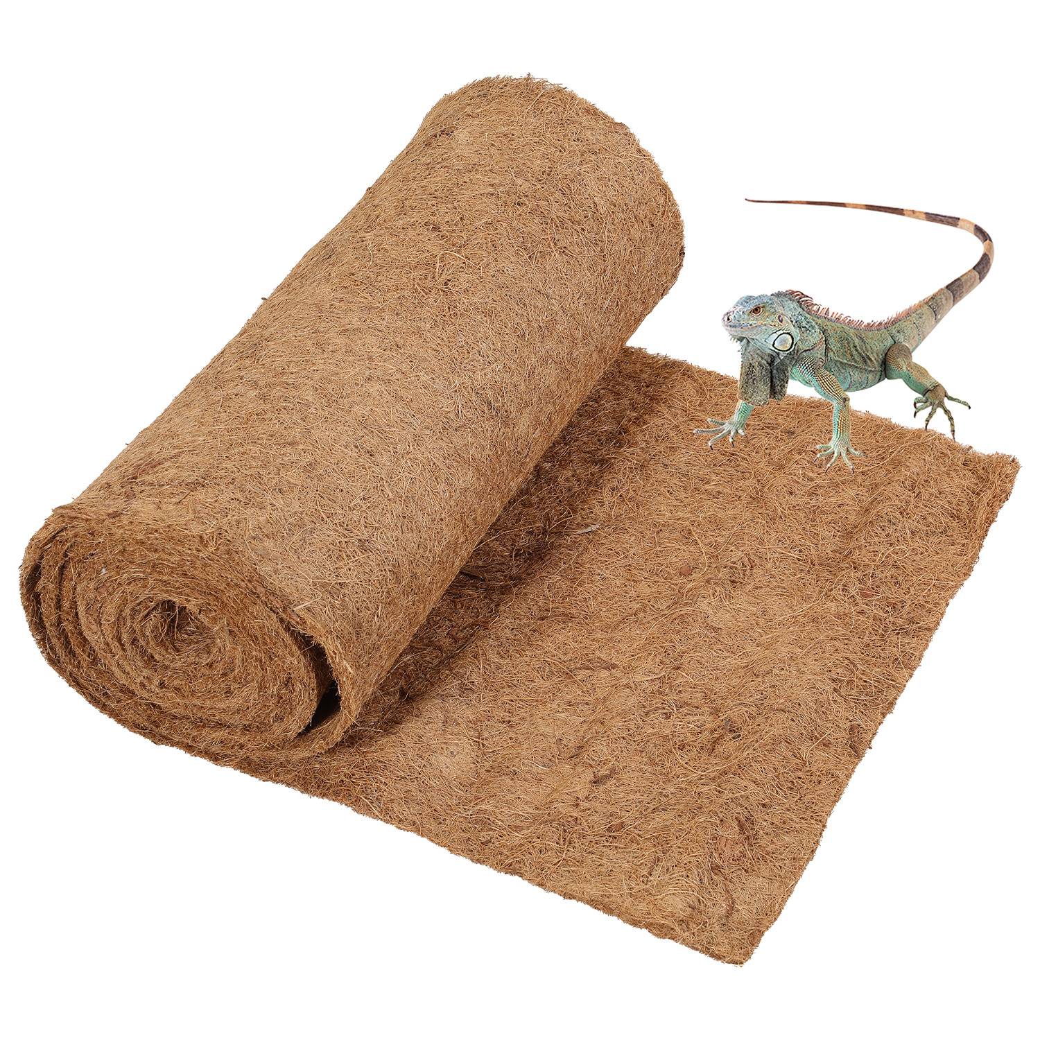 Eine aufgerollte Kokosfasermatte mit einem kleinen grünen Leguan, der daneben auf weißem Hintergrund steht.