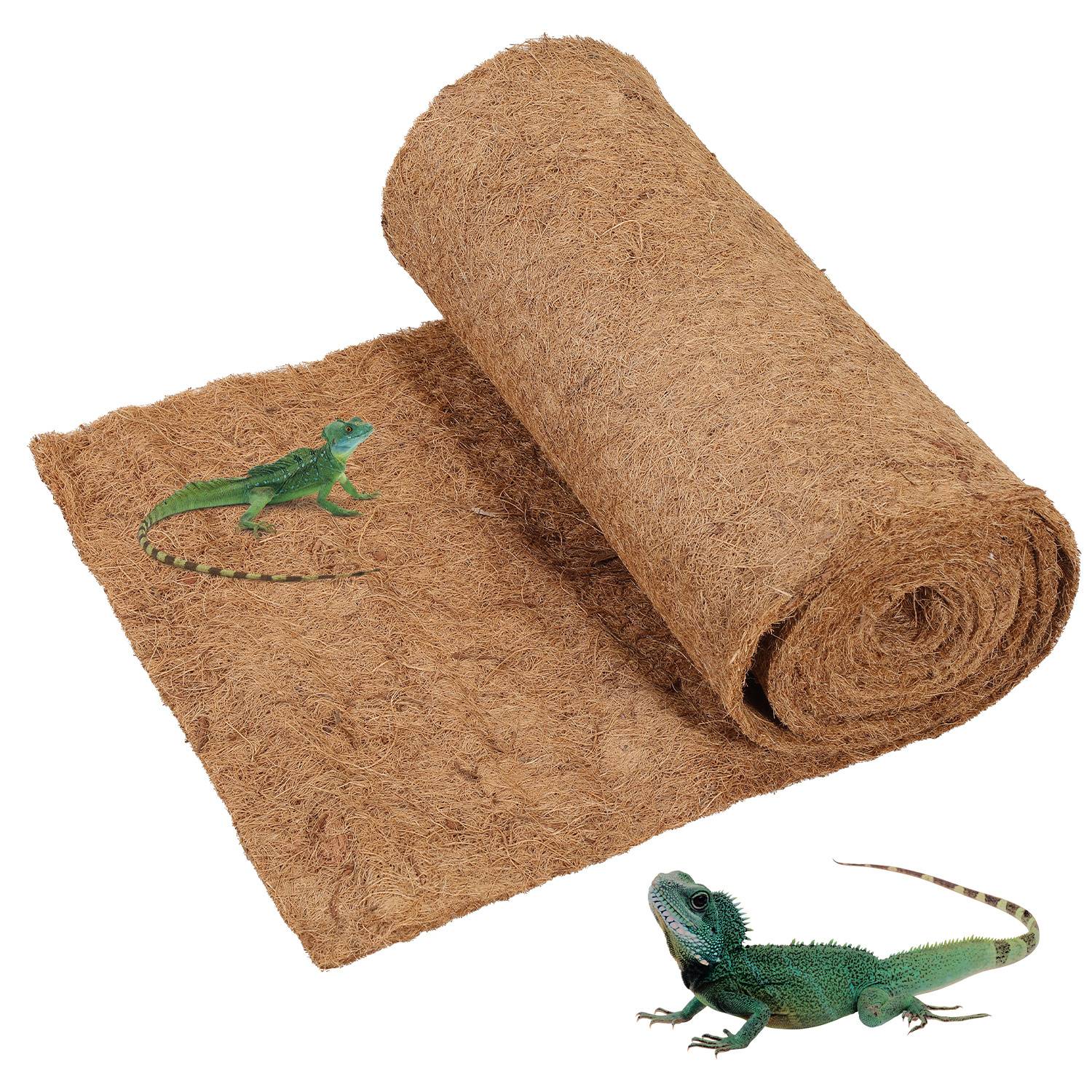 Braune Kokosfaser-Reptilienmatte mit zwei grünen Echsen, eine auf der Matte und eine daneben, auf weißem Hintergrund dargestellt.