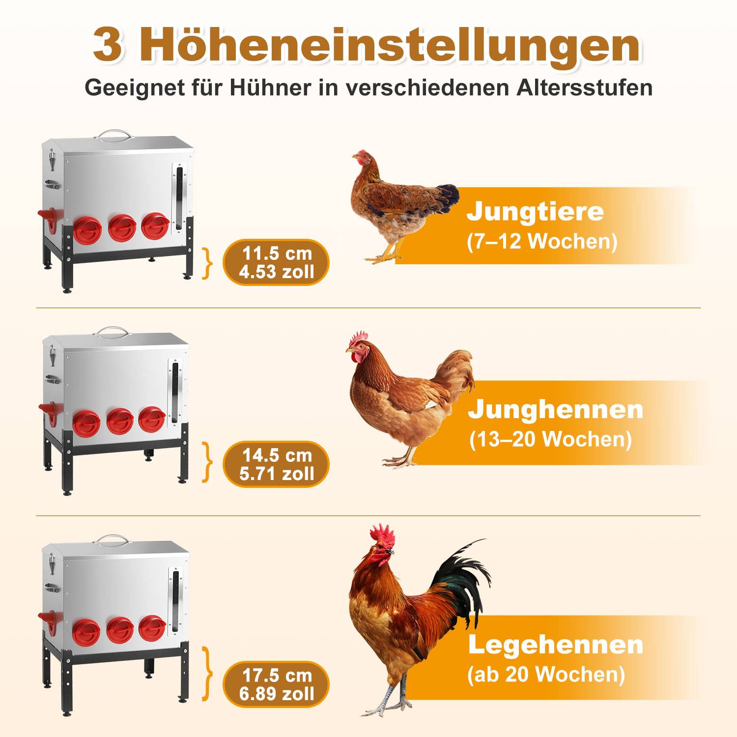 Infografik zeigt 3 Höheneinstellungen für einen Hühnertränke nach Alter: 11,5 cm für Küken 7-12 Wochen, 14,5 cm für Junghennen 13-20 Wochen, 17,5 cm für Legehennen 20+ Wochen.