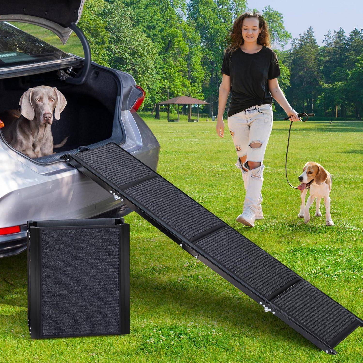 Eine Frau spaziert mit einem Beagle auf einer Wiese neben einem Autokofferraum mit einer Rampe, während ein großer Hund im offenen Kofferraum wartet.