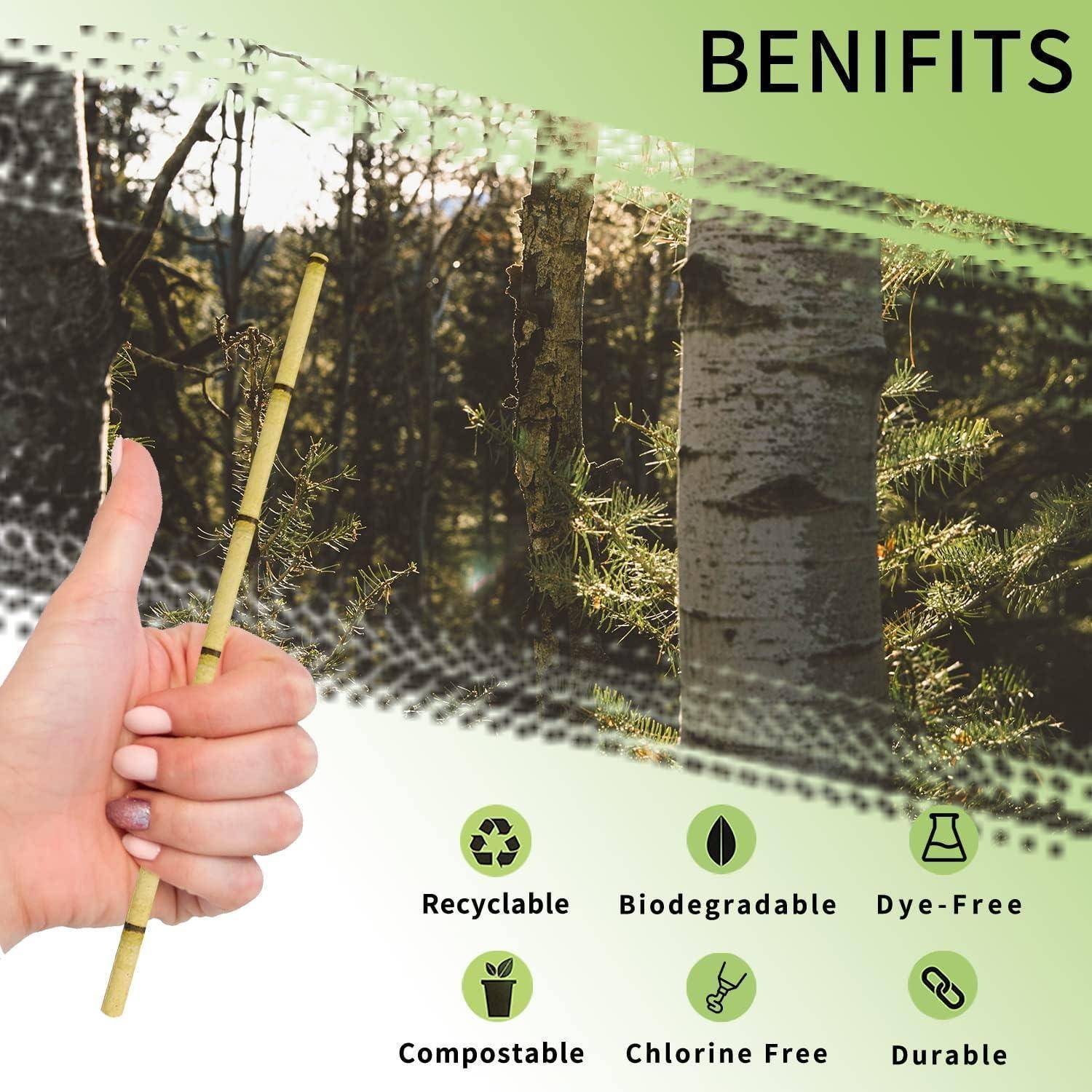 Hand, die eine Bambuszahnbürste mit dem Text „BENIFITS" hält, und Symbole, die zeigen: recyclebar, biologisch abbaubar, farbstofffrei, kompostierbar, chlorfrei und langlebig.