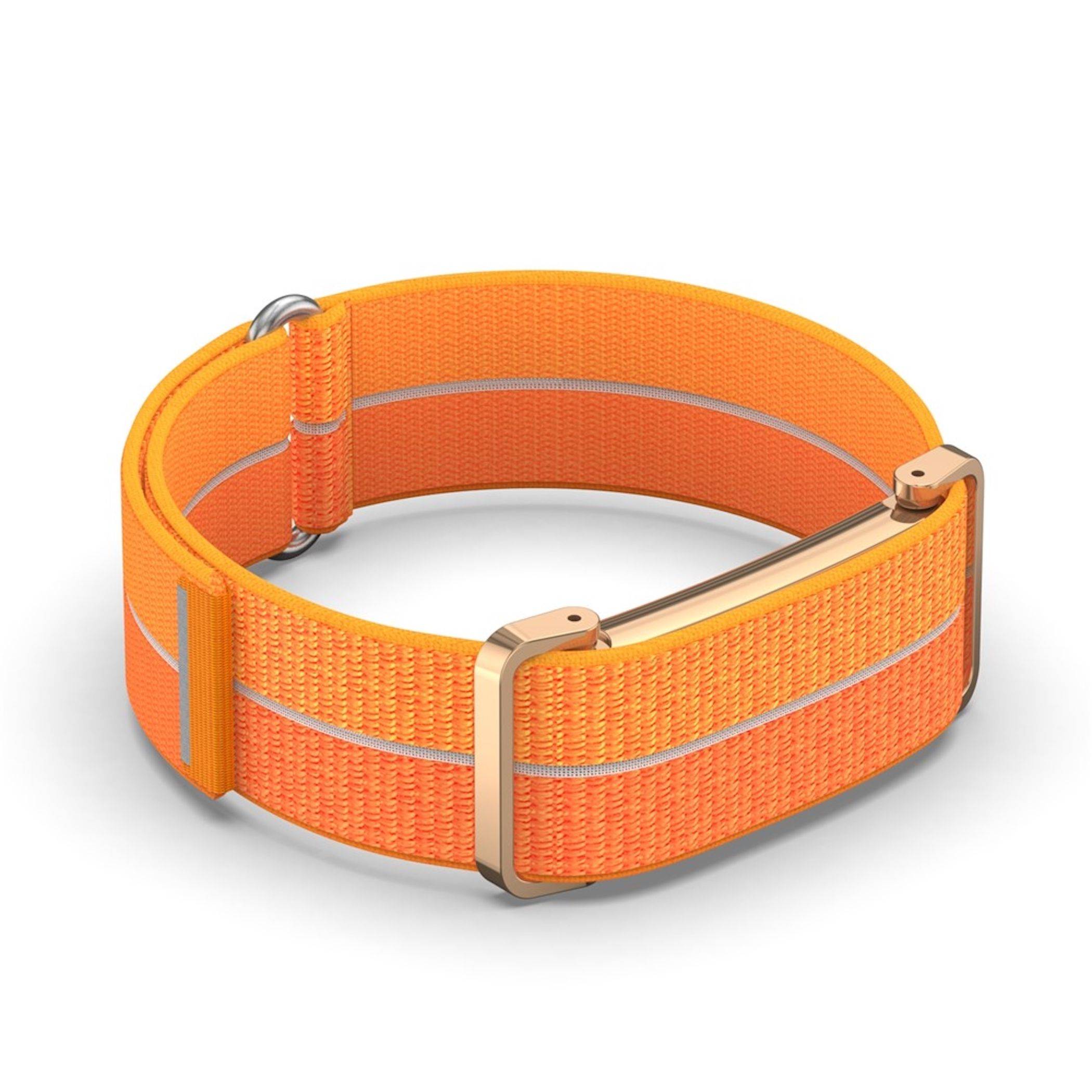 Verstellbares Hundehalsband aus orangefarbenem Nylon mit goldfarbener Schnalle, isoliert auf weißem Hintergrund dargestellt.