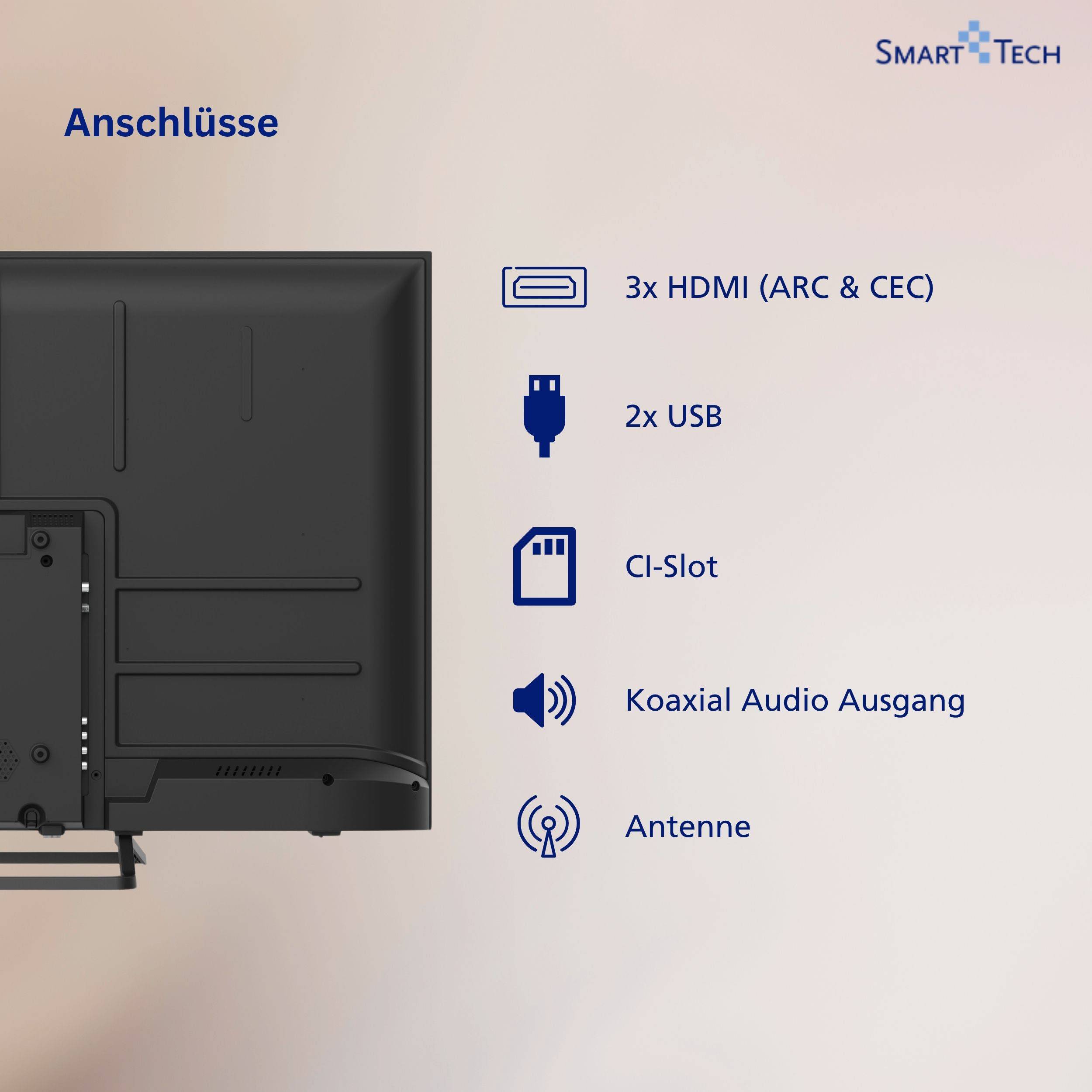 Diagramm der hinteren Anschlüsse eines Fernsehers mit der Beschriftung 