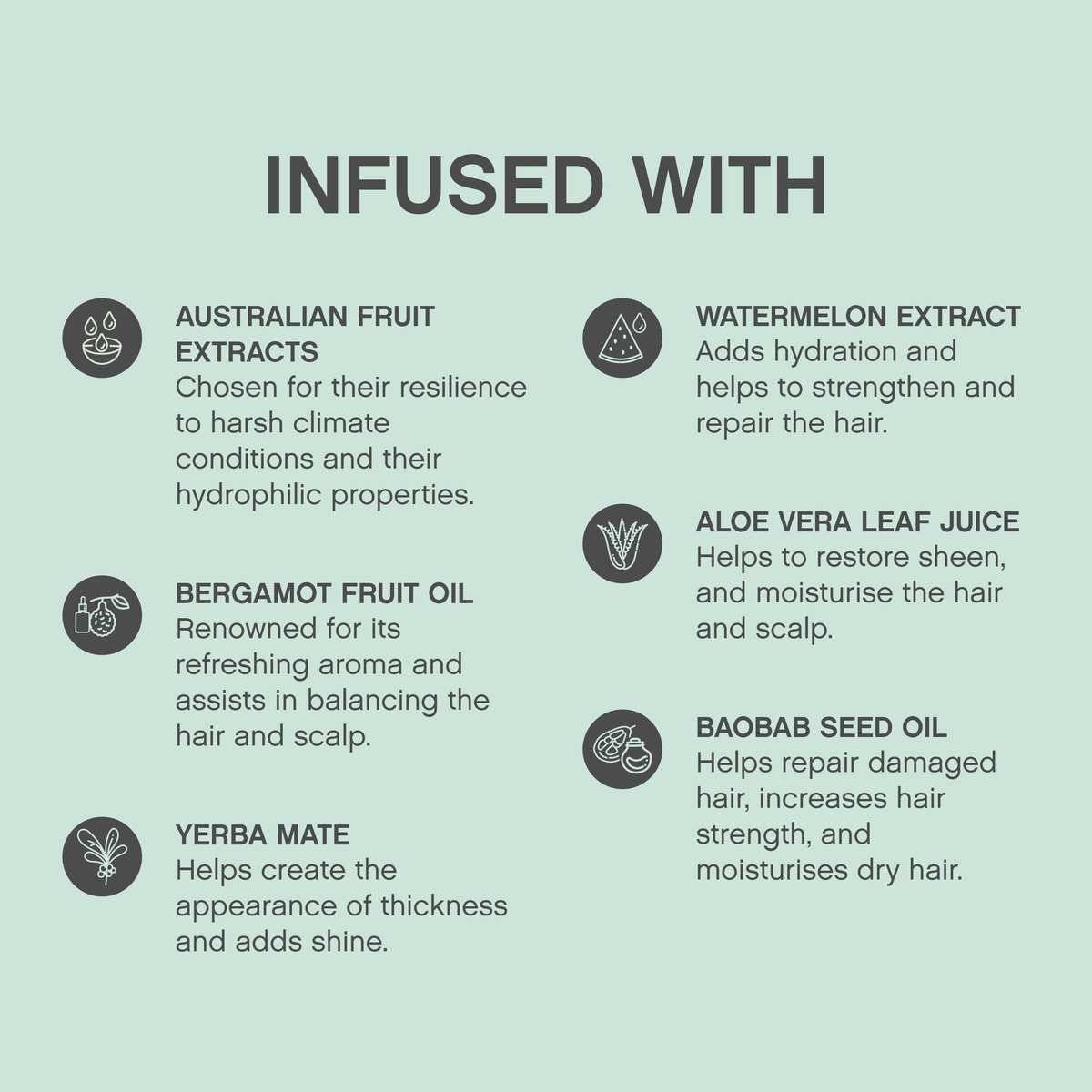 Infografik mit dem Titel 'INFUNDIERT MIT' Liste von Haarproduktzutaten und deren Vorteile: Australische Fruchtextrakte, Bergamottenfruchtöl, Yerba Mate, Wassermelonen-Extrakt, Aloe-Vera-Blattsaft und Baobab-Samenöl.