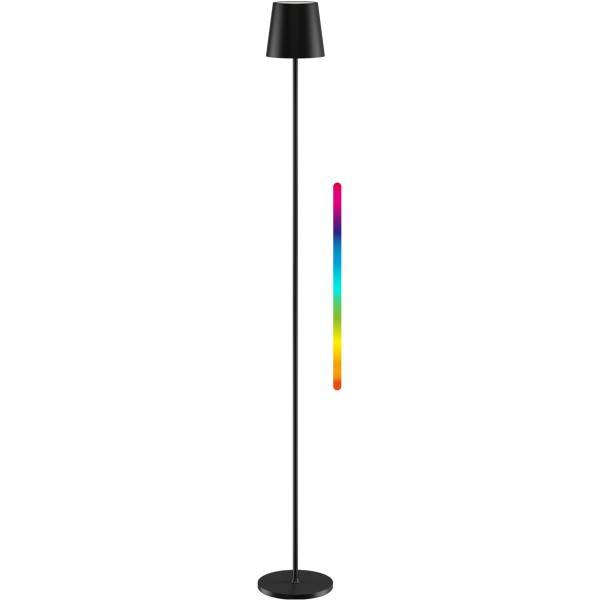 Schwarze Stehleuchte mit schlankem, hohem Ständer und konischem Schirm, daneben gezeigt mit einem separaten vertikalen Regenbogenlicht-Effekt.