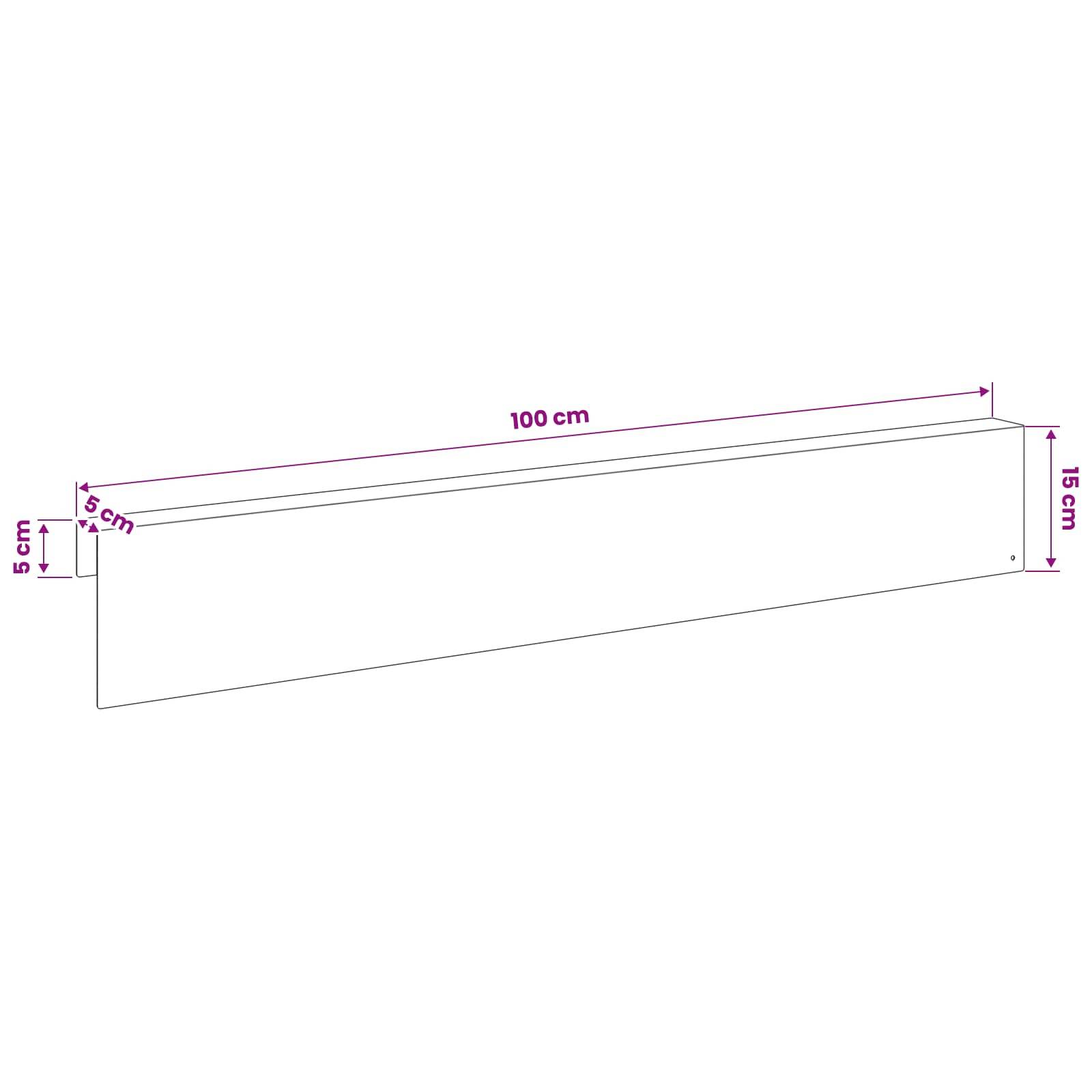 Technische Zeichnung eines langen rechteckigen Panels, beschriftet mit 100 cm Länge, 15 cm Höhe und 5 cm Tiefe am linken Ende.
