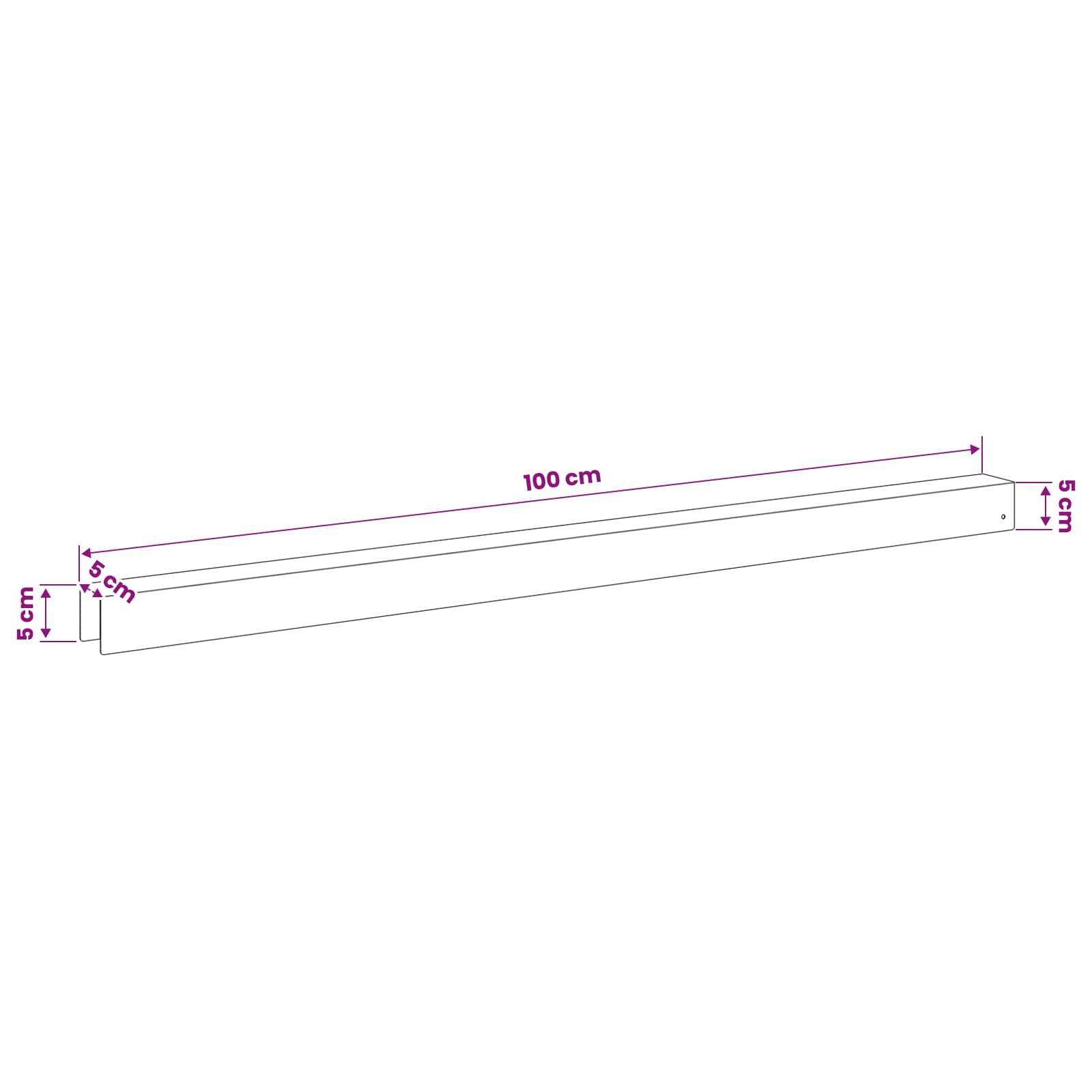 Diagramm eines langen rechteckigen Balkens mit einer Länge von 100 cm und einer Breite und Höhe von jeweils 5 cm an beiden Enden.