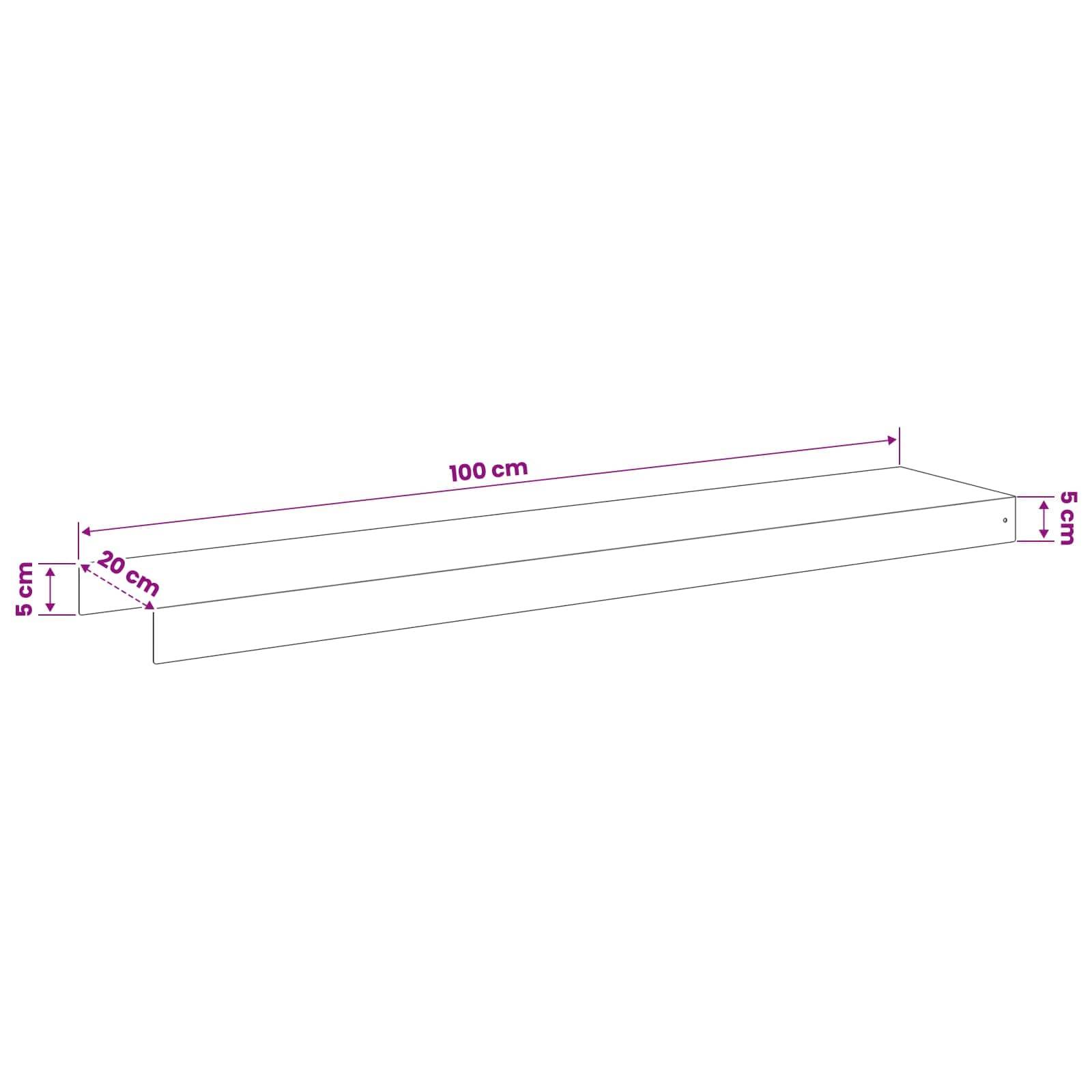 3D-Diagramm eines rechteckigen Bretts mit den Abmessungen 100 cm Länge, 20 cm Breite und 5 cm Höhe.