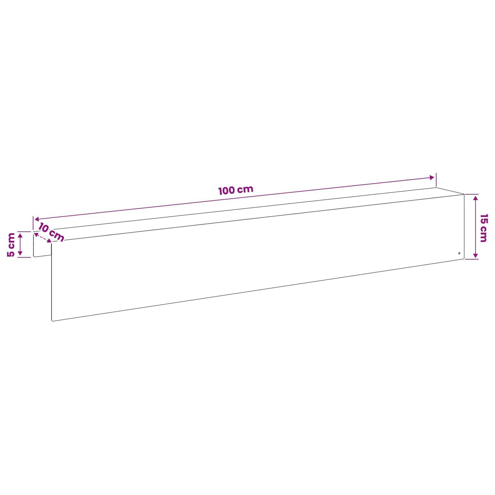 Diagramm eines langen rechteckigen Panels mit einer Länge von 100 cm, einer Höhe von 15 cm und einer Tiefe von 5 cm, mit einem 10 cm breiten geneigten oberen Abschnitt am linken Ende.