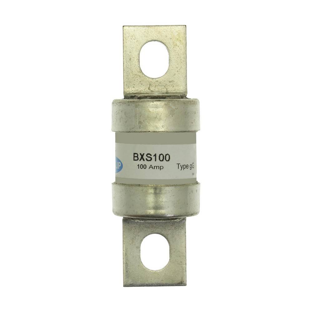 Ein zylindrischer elektrischer Sicherung mit der Bezeichnung „BXS100 100 Amp Type gG