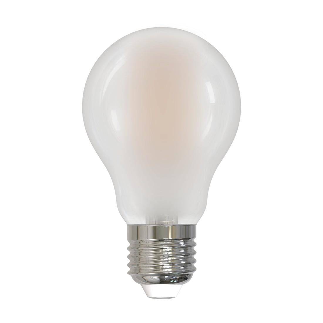 Eine mattierte Glühlampe mit versilberter Schraubfassung auf weißem Hintergrund.