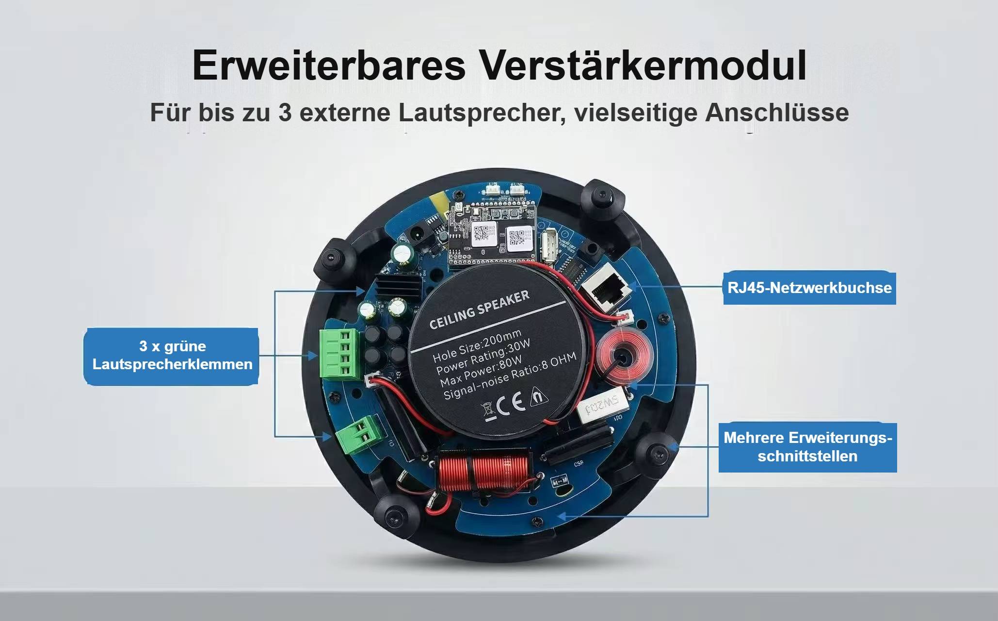 Kommentiertes Produktbild eines erweiterbaren Verstärkungsmoduls, das 3 grüne Lautsprecherklemmen, einen RJ45-Netzwerkstecker und mehrere Erweiterungsschnittstellen zeigt.