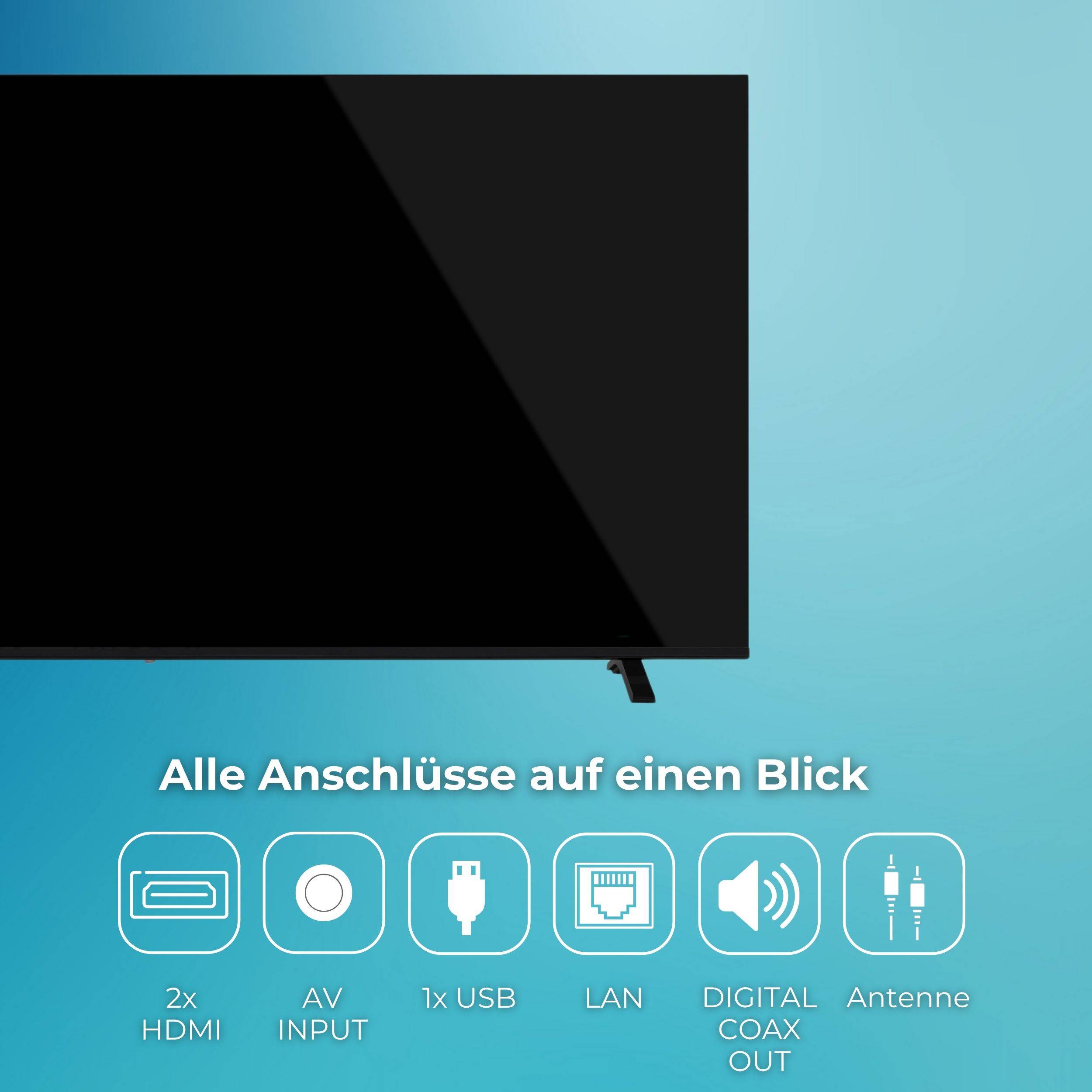 Grafik eines Fernsehers mit Anschlussoptionen: 2x HDMI, AV-Eingang, 1x USB, LAN, digitaler Koaxialausgang und Antenne.