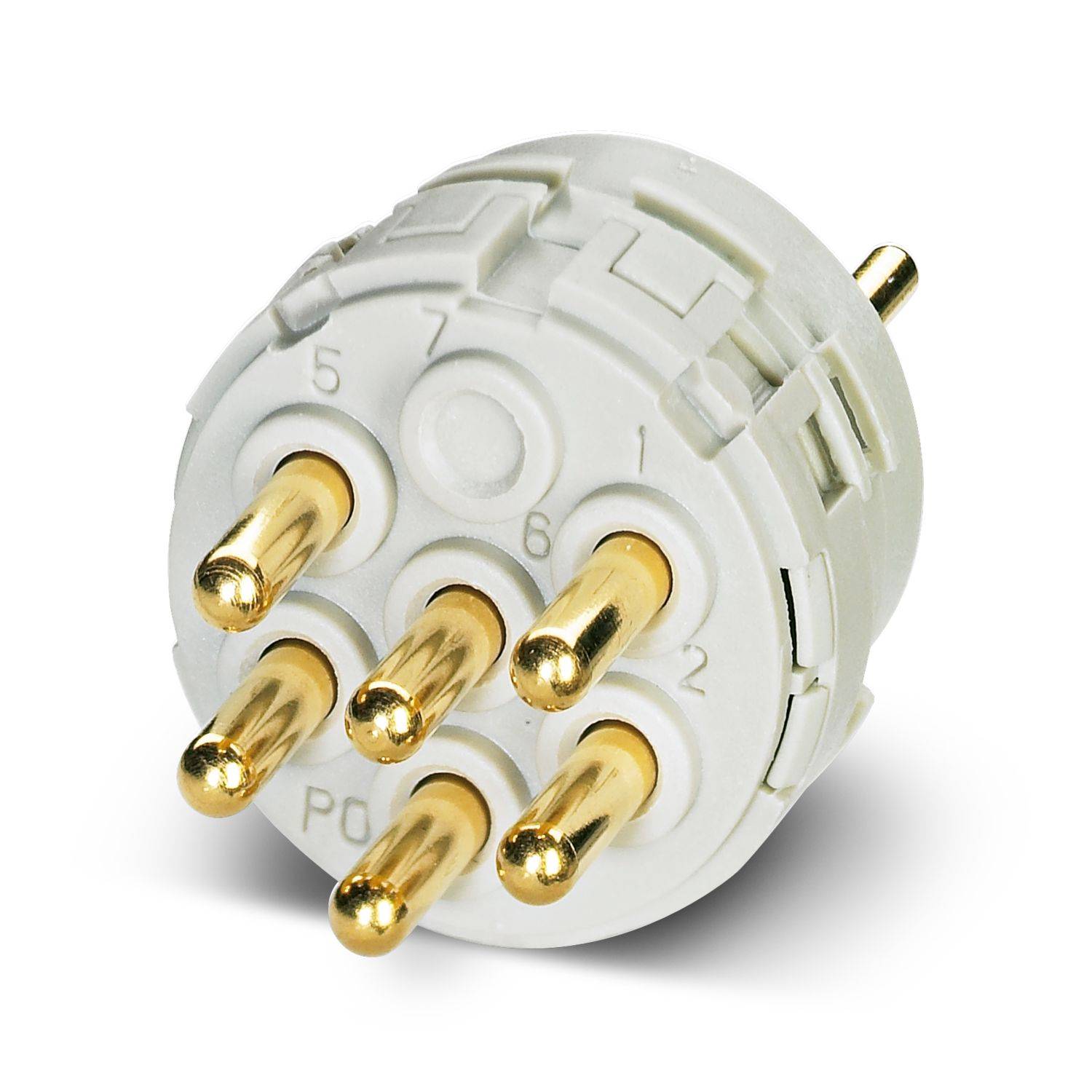 Nahaufnahme eines weißen kreisförmigen Elektrosteckers mit sechs goldfarbenen Kontakten auf weißem Hintergrund.