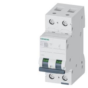 Weißer zweipoliger Siemens-Leitungsschutzschalter mit zwei Kippschaltern und Anschlussschrauben, dargestellt vor einem einfachen Hintergrund.