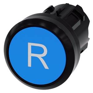 Blauer runder Druckschalter mit einem weißen „R