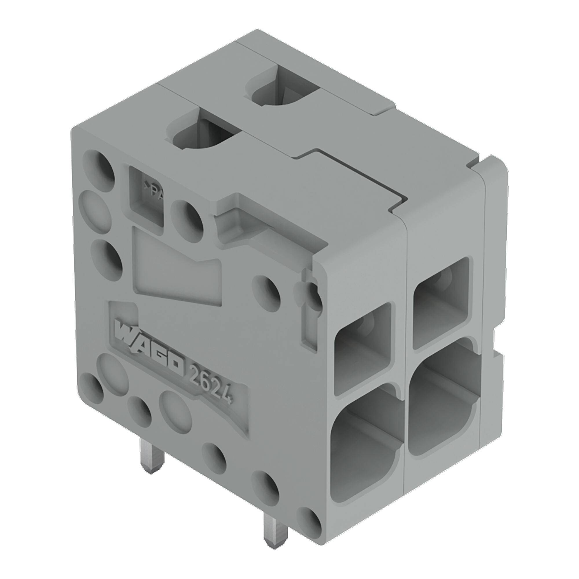 Grauer Stromverteilerklemmen-Stecker mit mehreren Drahteingangsöffnungen und zwei metallenen Befestigungsstiften, gezeigt auf weißem Hintergrund.